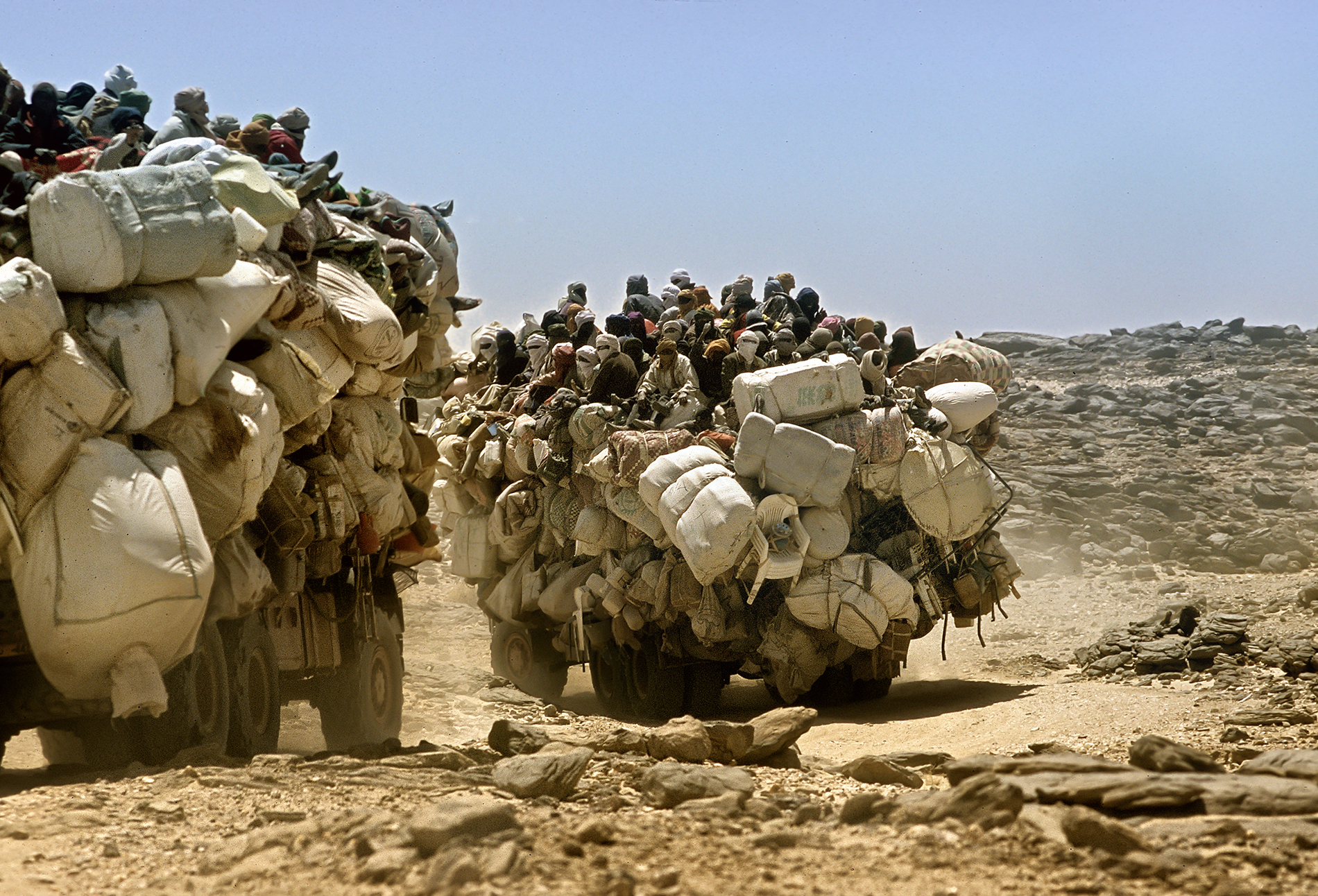 Travel, from Libya to Mali on "ships of the desert&quot...