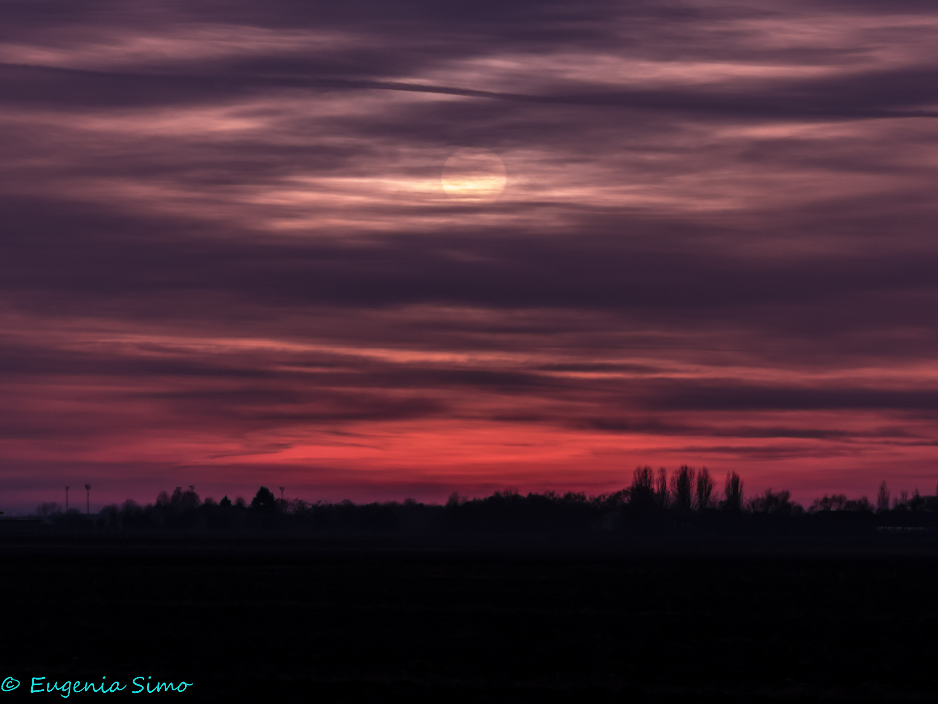 Morning after Christmas!