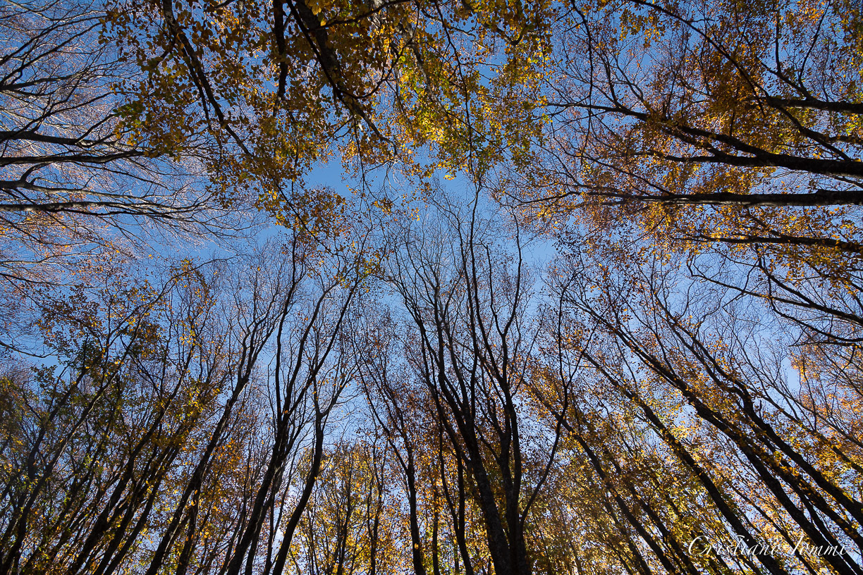 uno sguardo al cielo