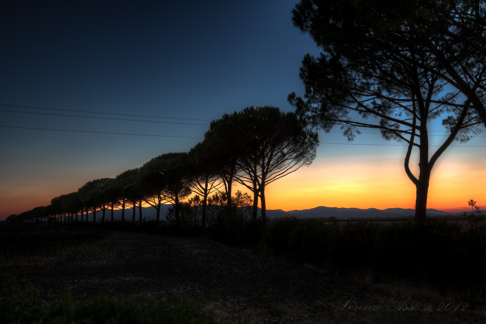 Il Tramonto della Pineta Maremmana...