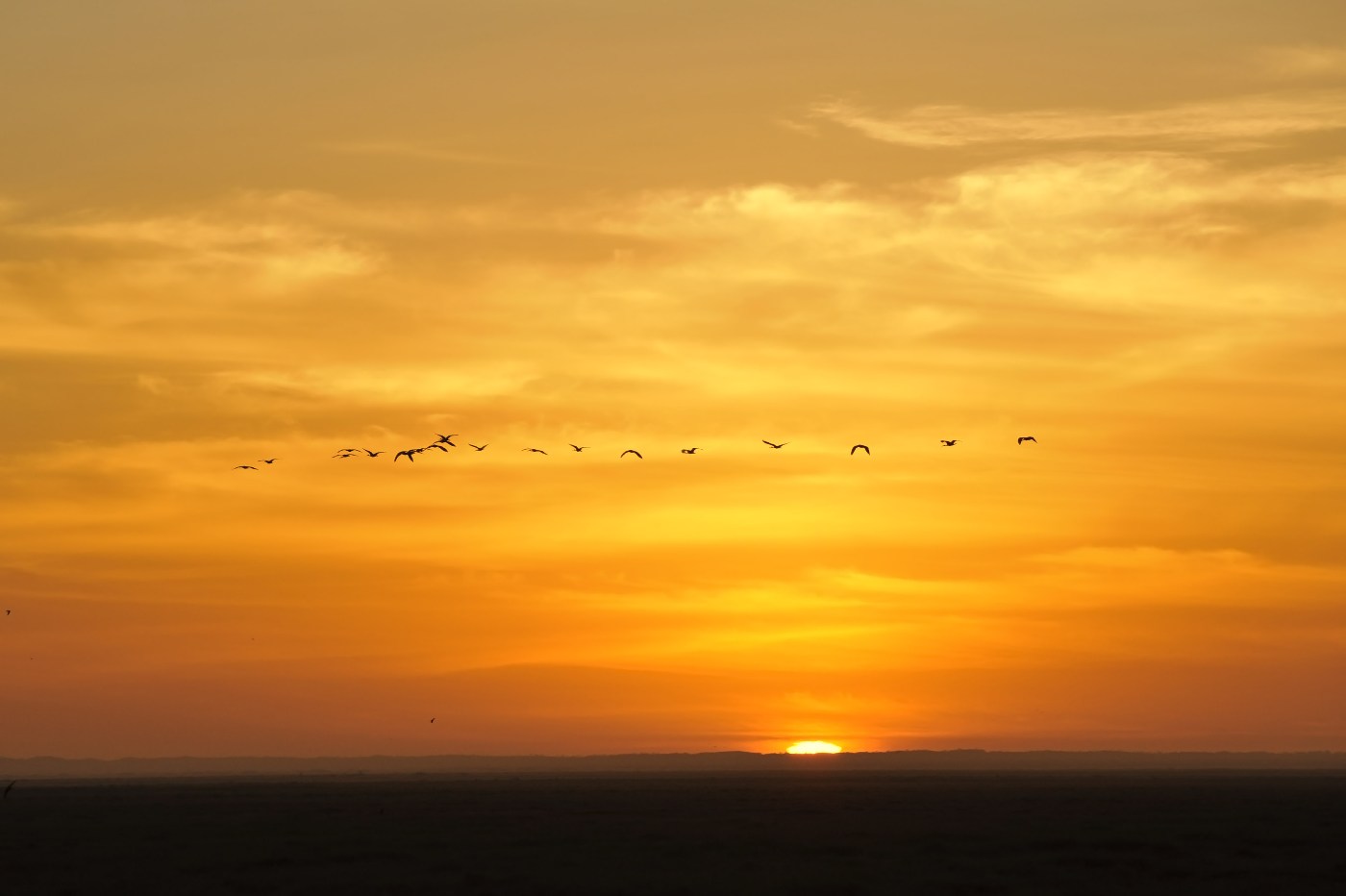 The dawn of a new day