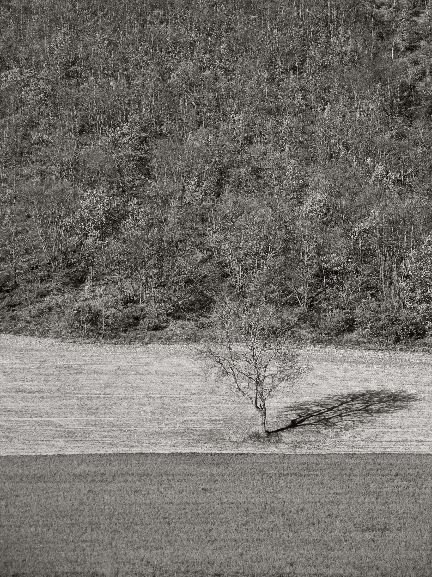 20000 steps between Umbria and Marche