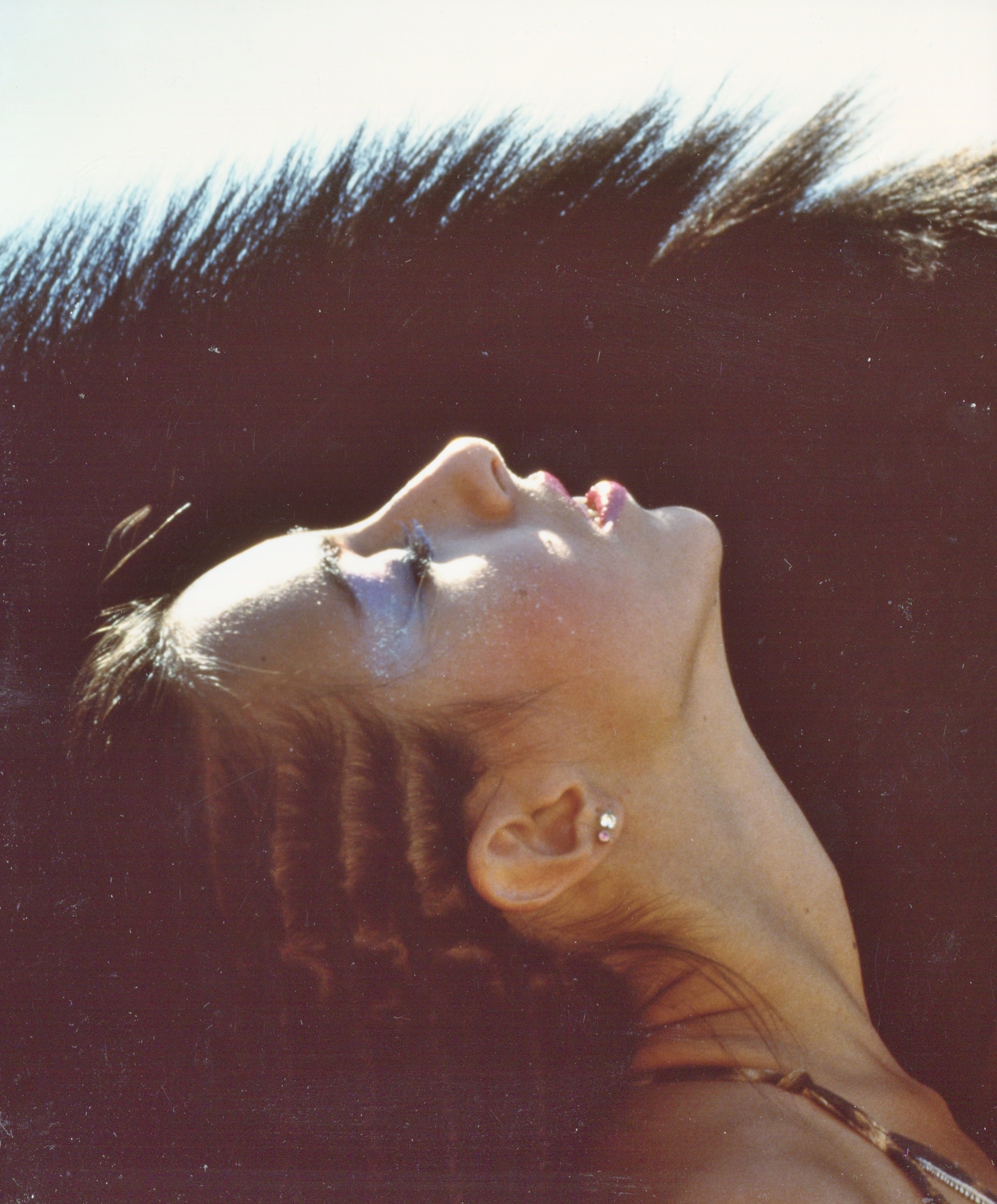 Ecstasy at the stables.