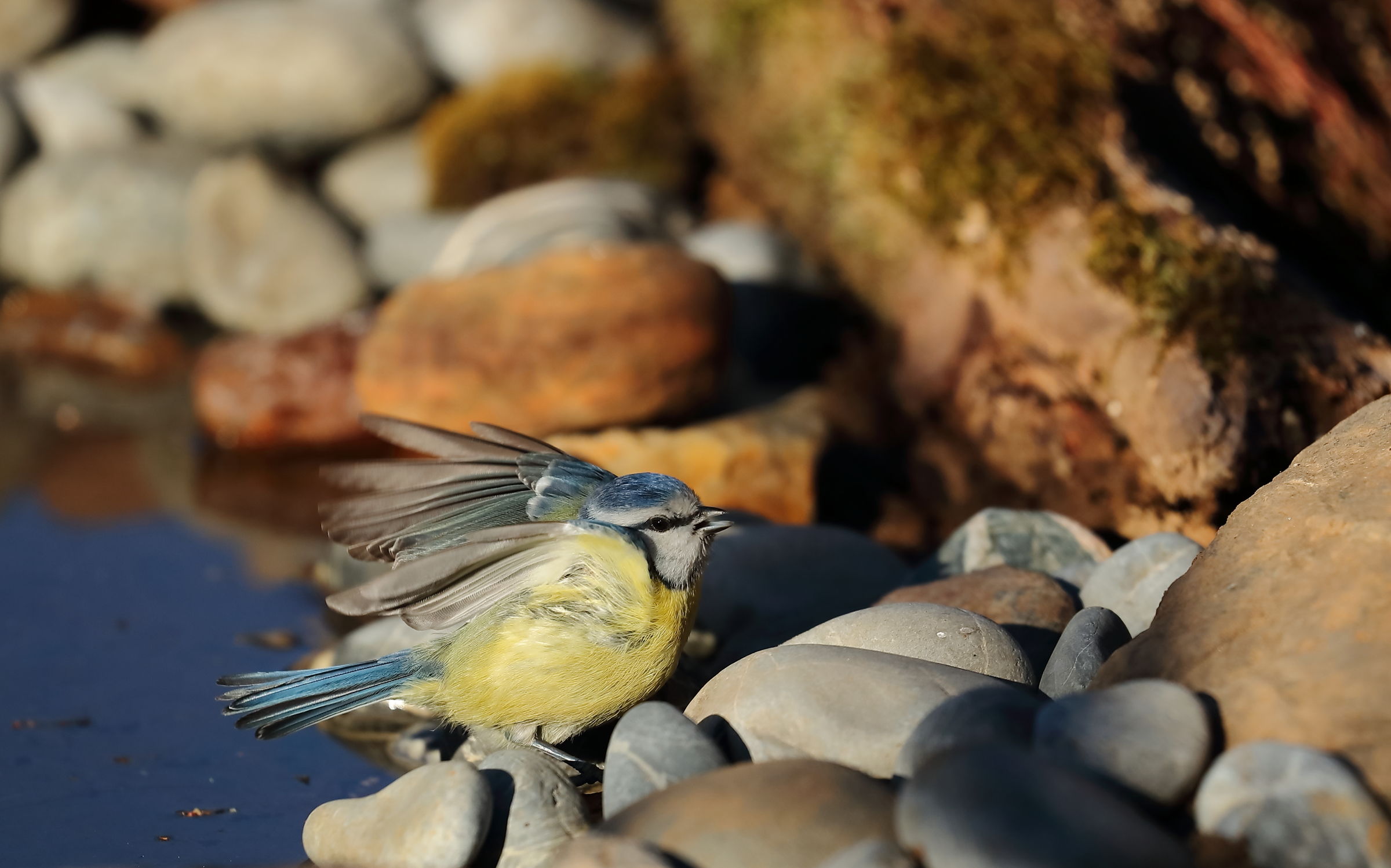 I know that today I take a bath