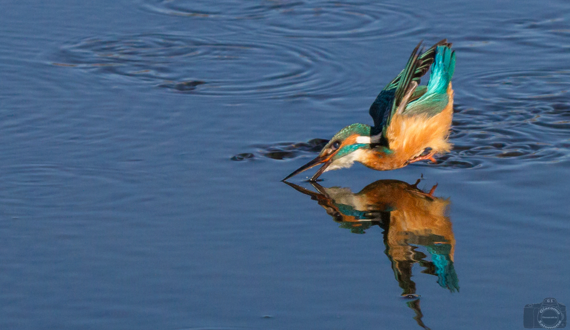 The entry into the water.