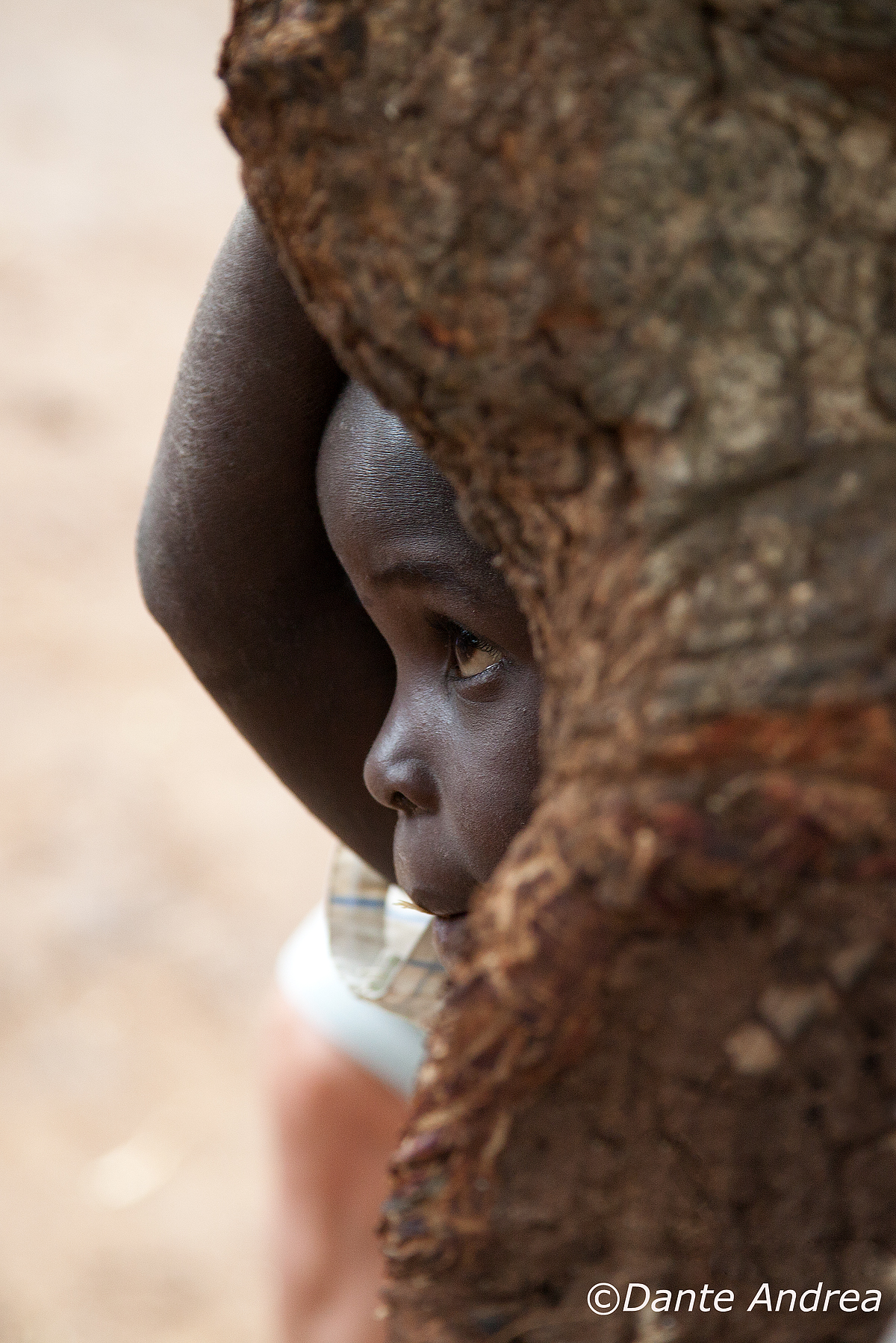 Curiosity and shyness