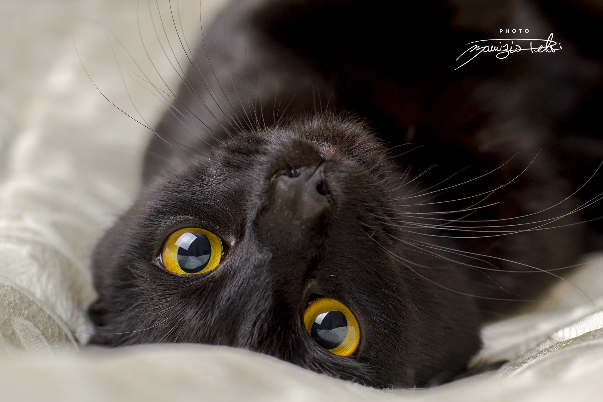 ...shooting fotografico...come sono venuto??