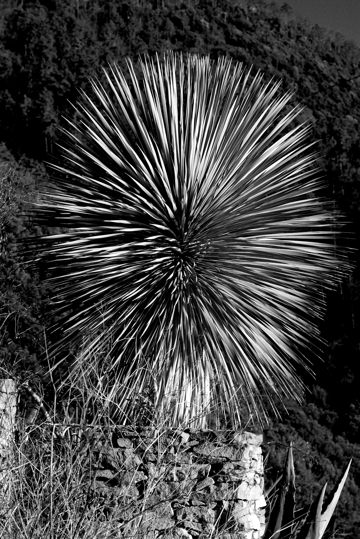 Prova fuochi per domani