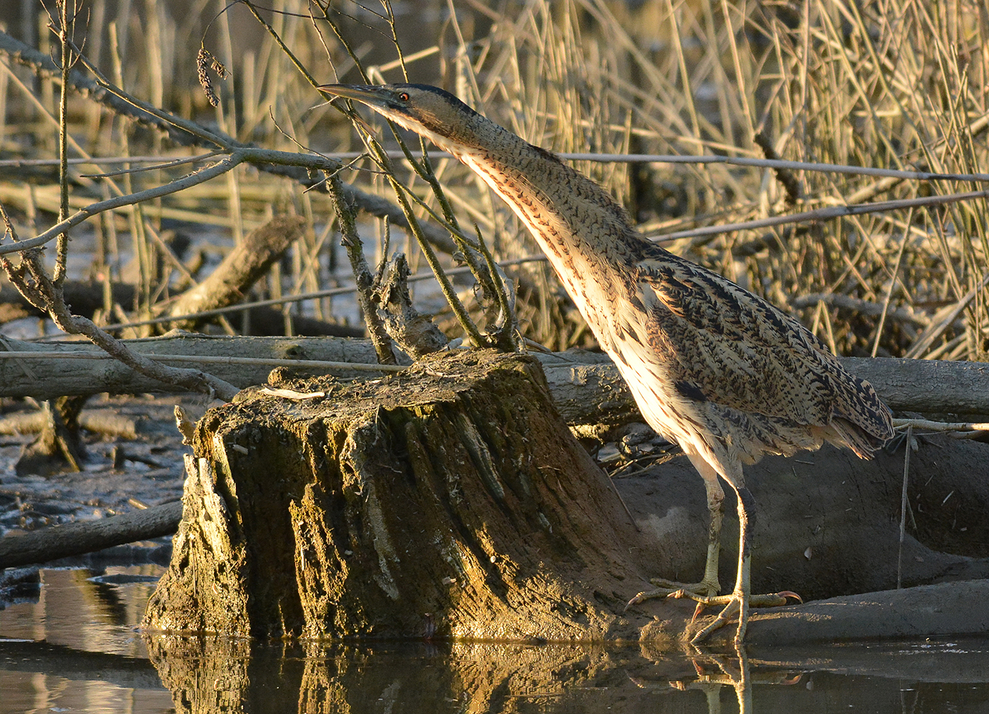 sull'uscio del canneto