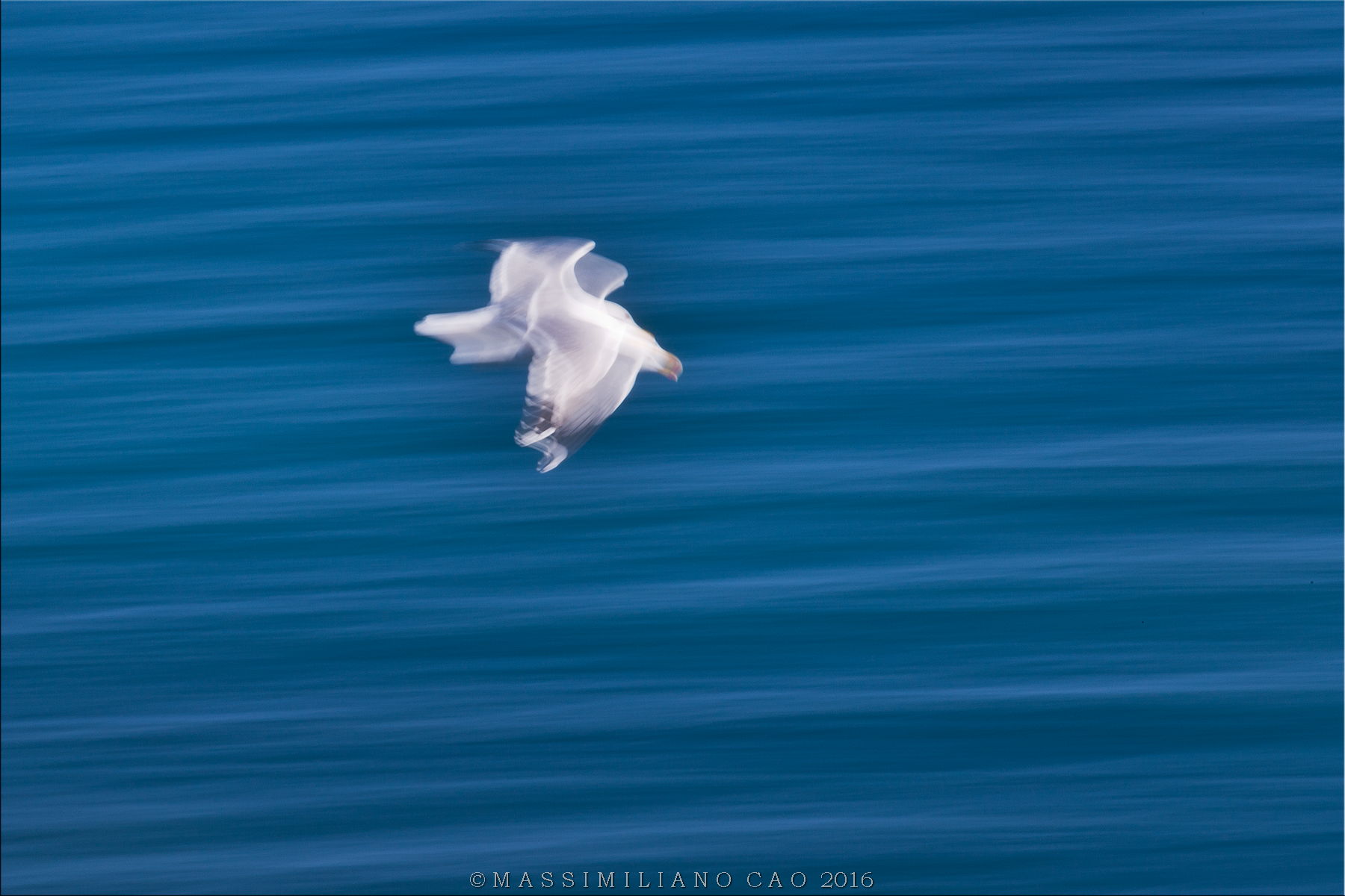 In flight without borders