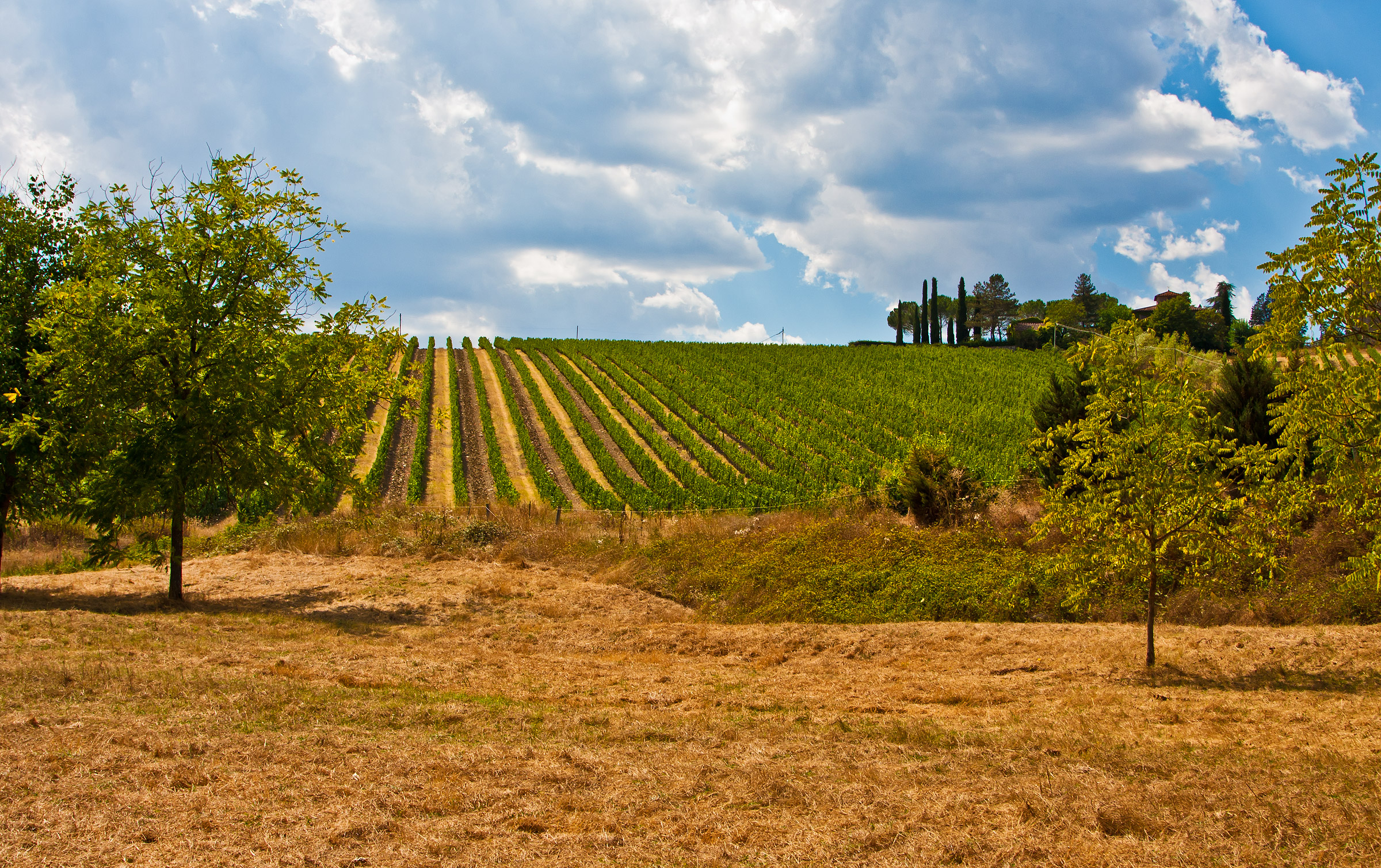 Nei pressi di Gaiole in Chianti