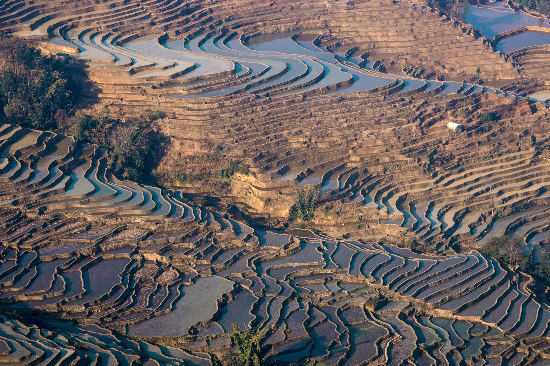 China rice terraces
