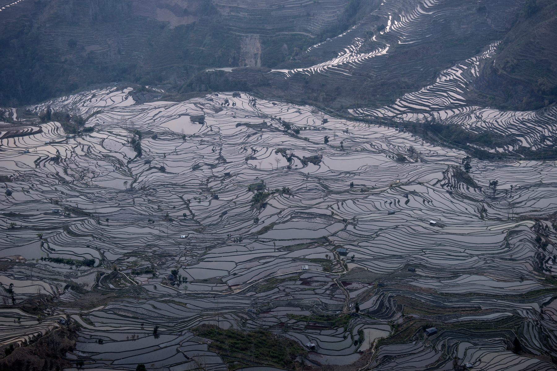 China rice terraces