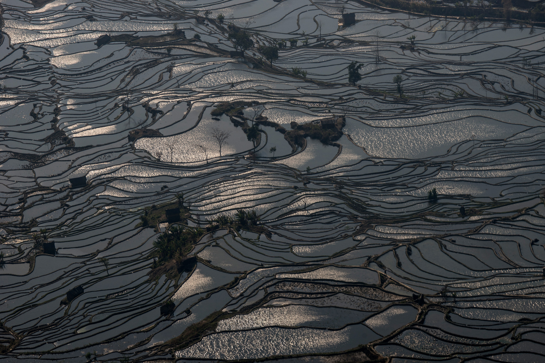 China rice terraces