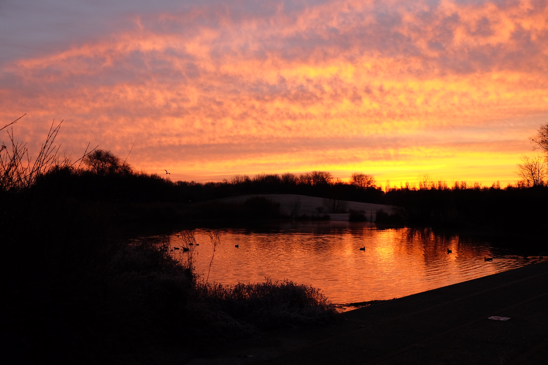 alba sul laghetto al parco nord cinisello