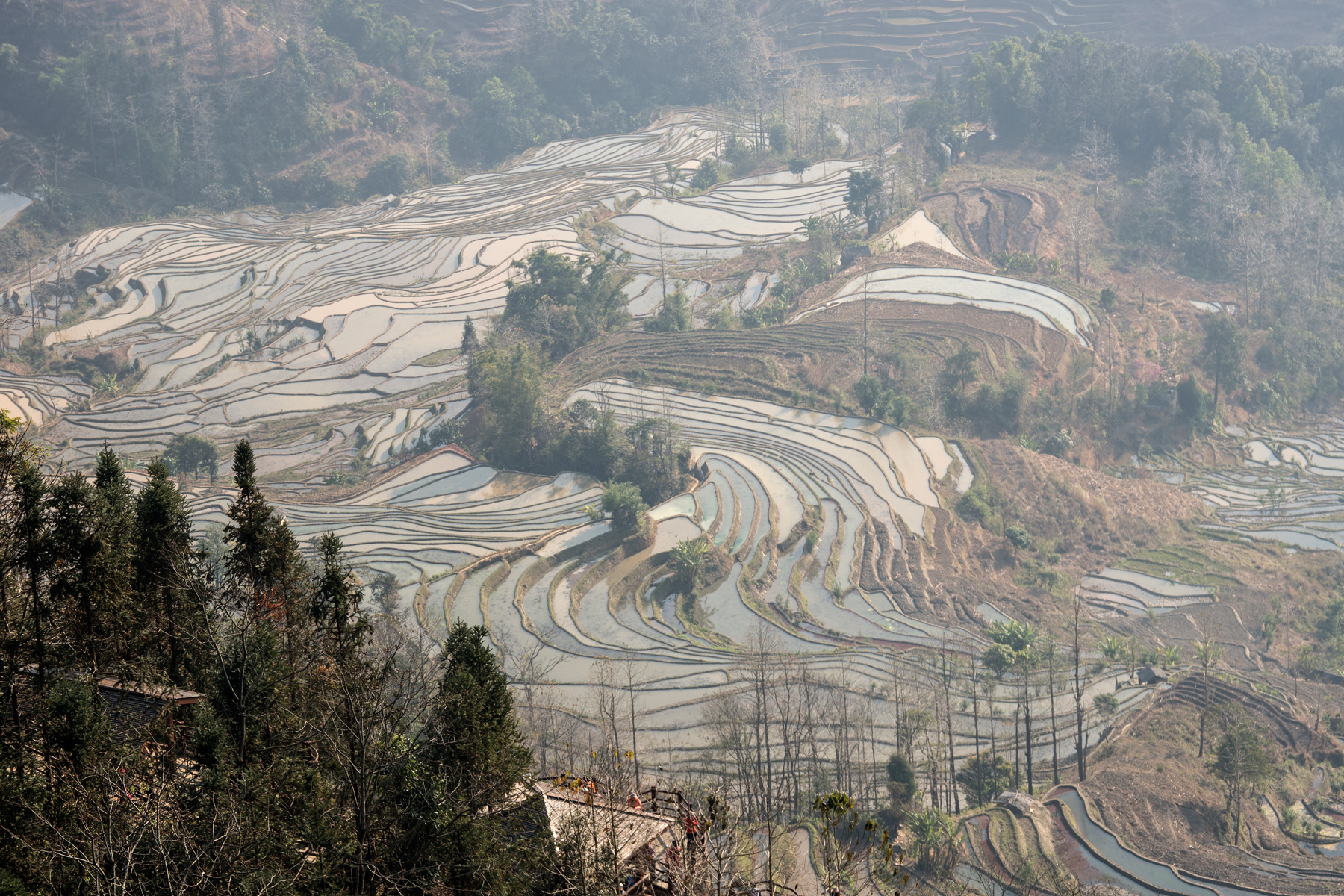 China rice terraces
