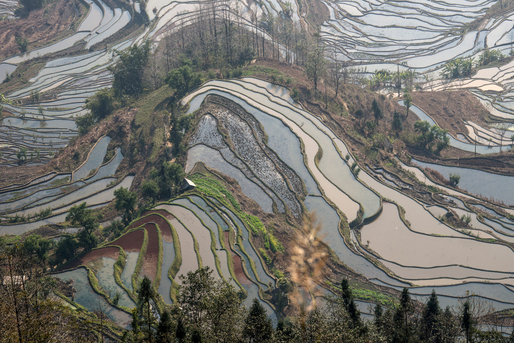 China rice terraces