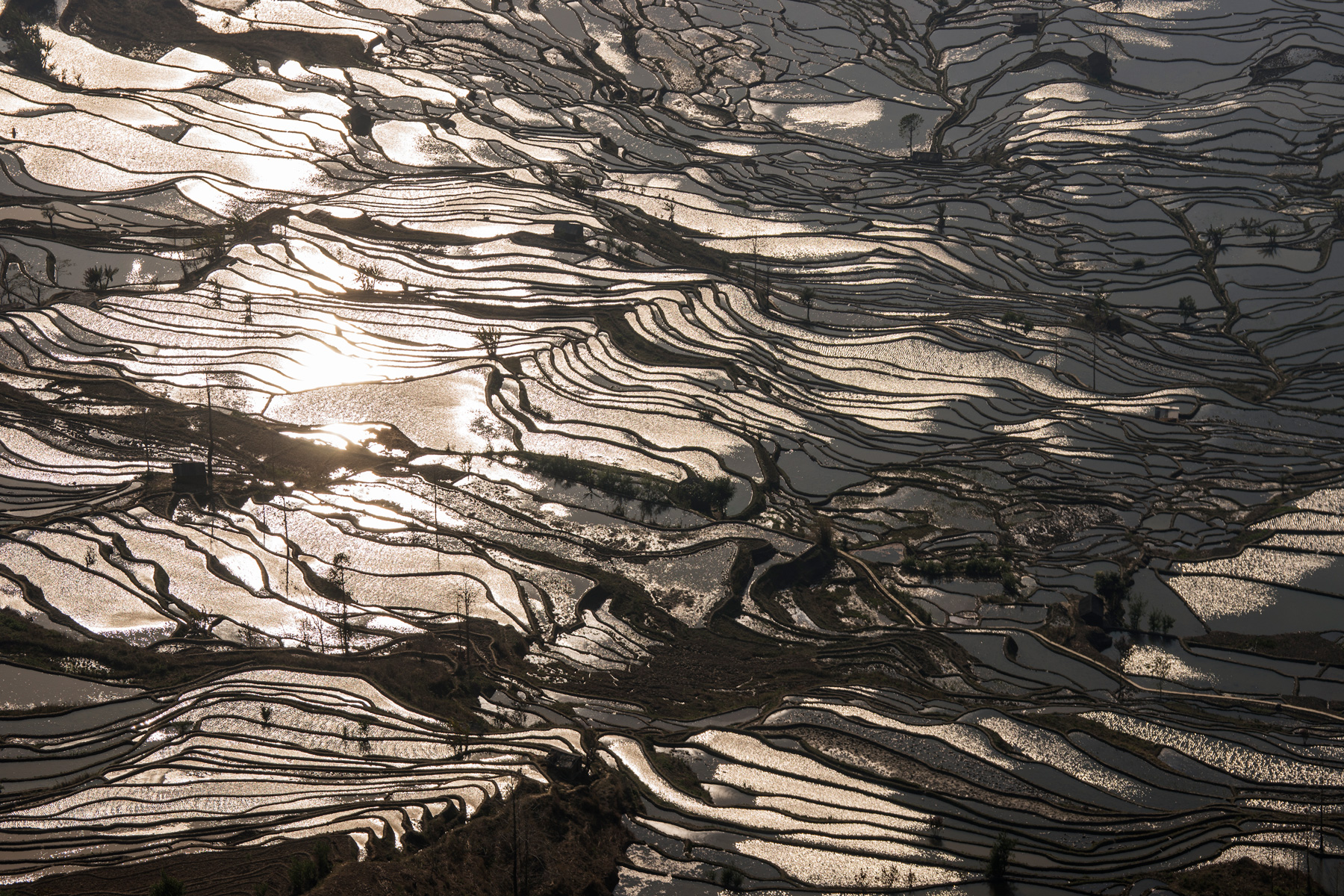 China rice terraces