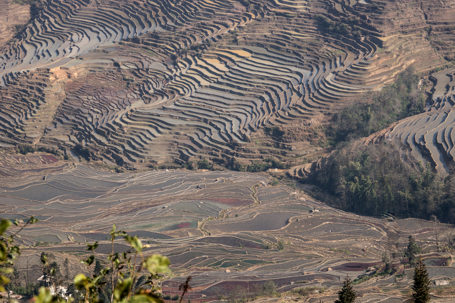 China rice terraces