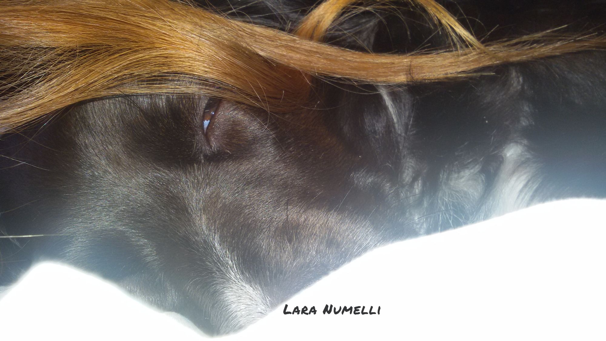 Ma mi sono cresciuti i capelli?