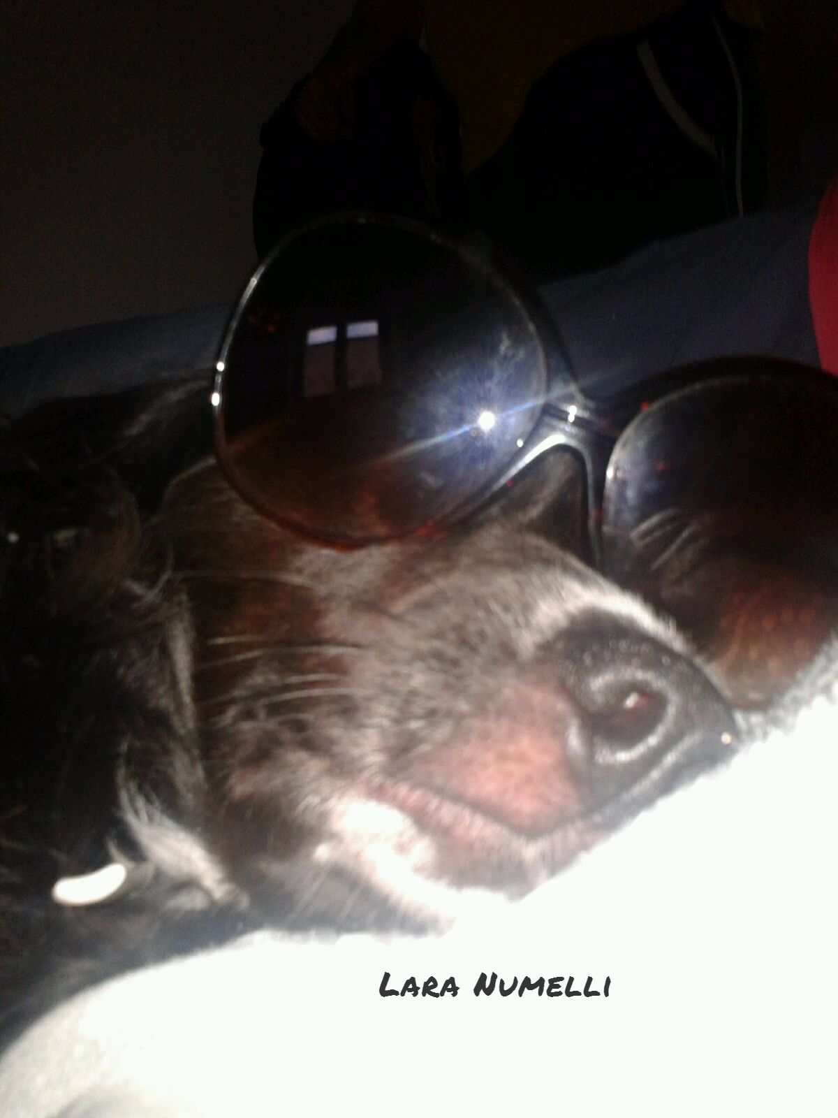 C'era troppo sole fuori