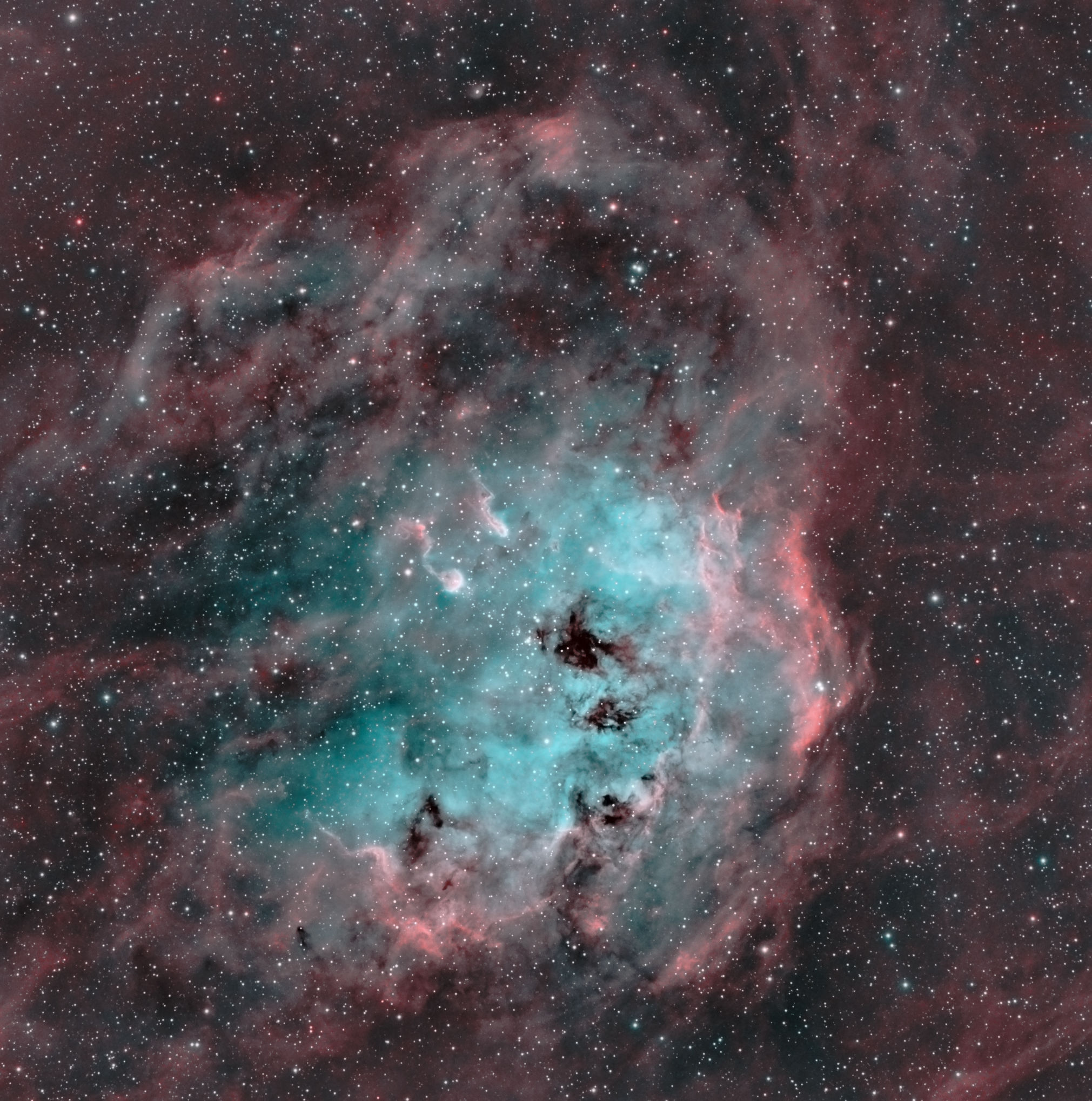 Tapdoles IC410 in Auriga