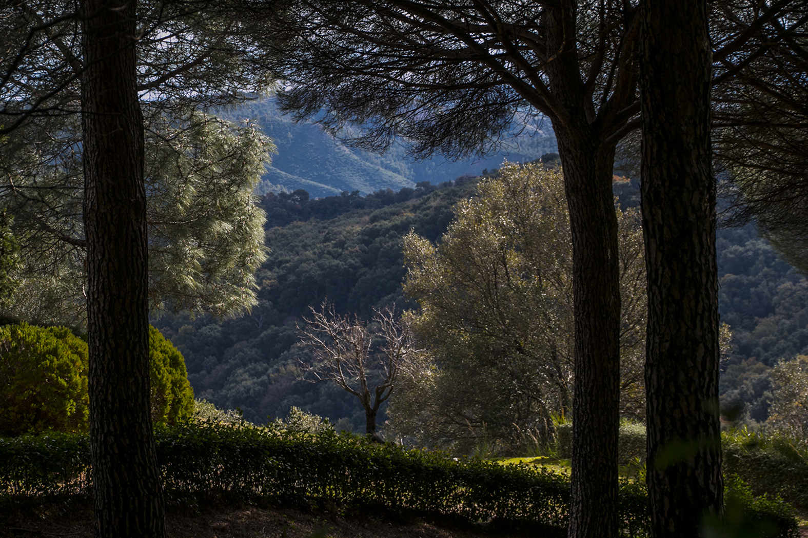 Giardino Botanico Catanzaro