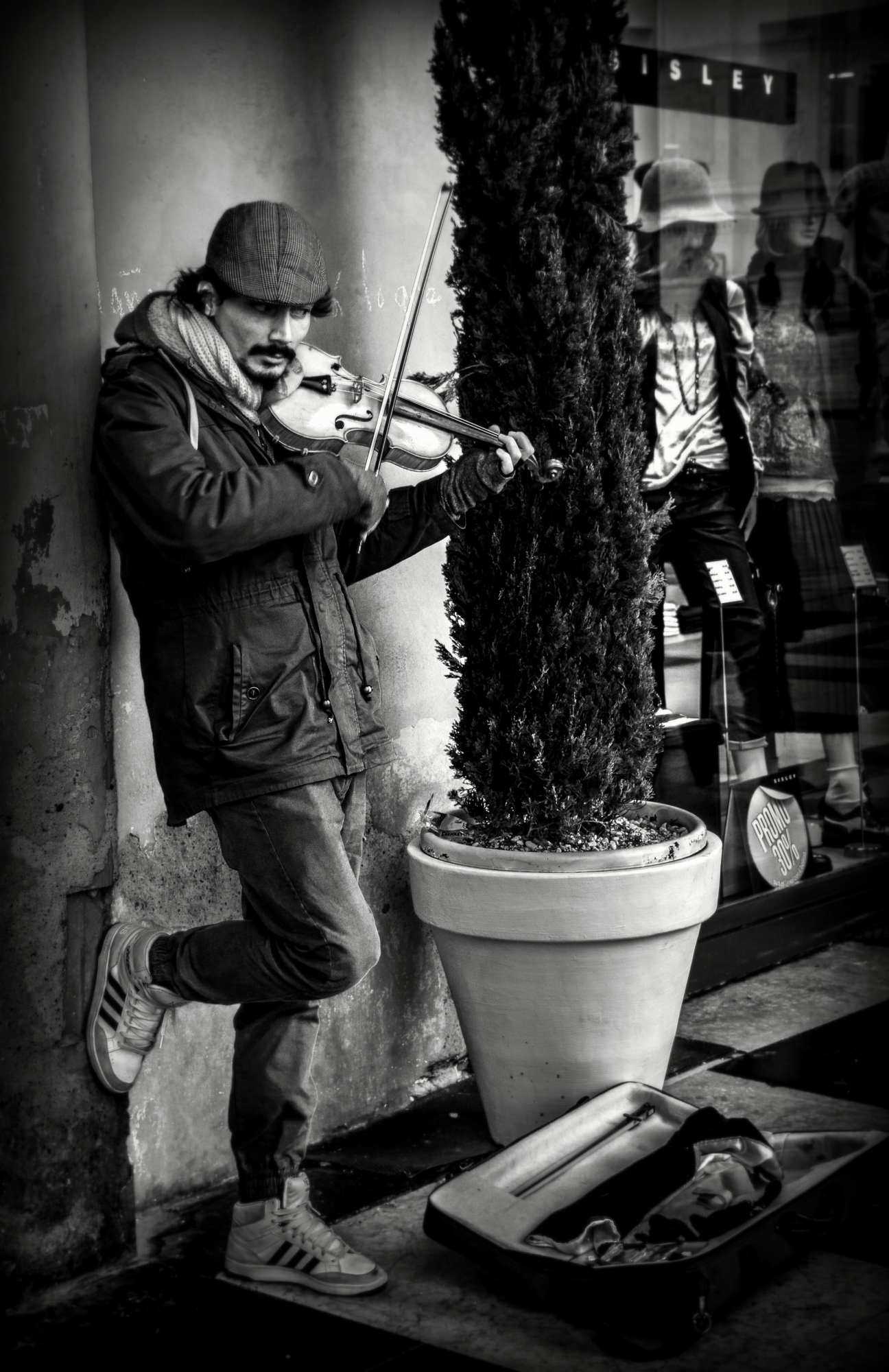 the violinist