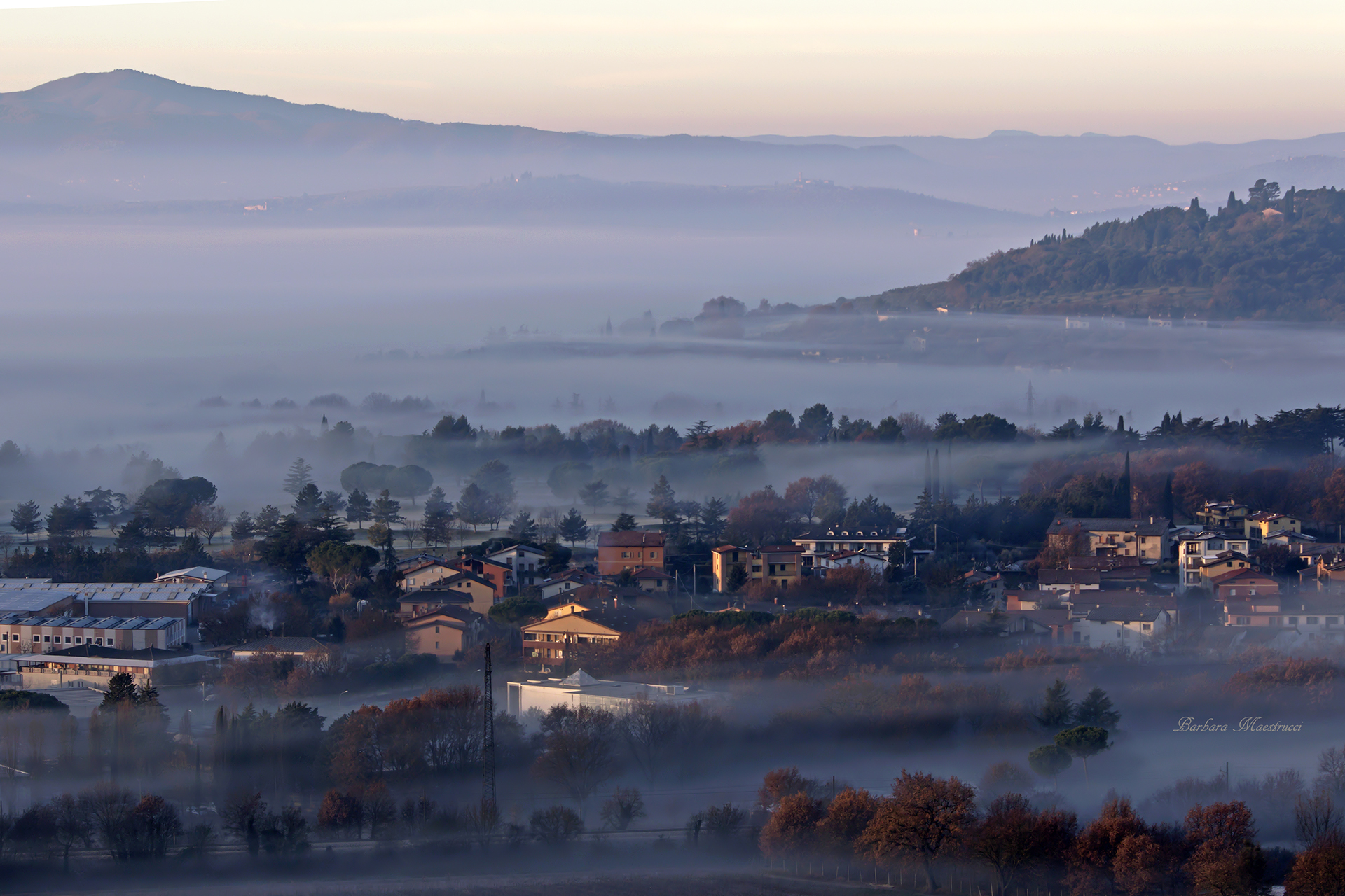 From the window of my house ...