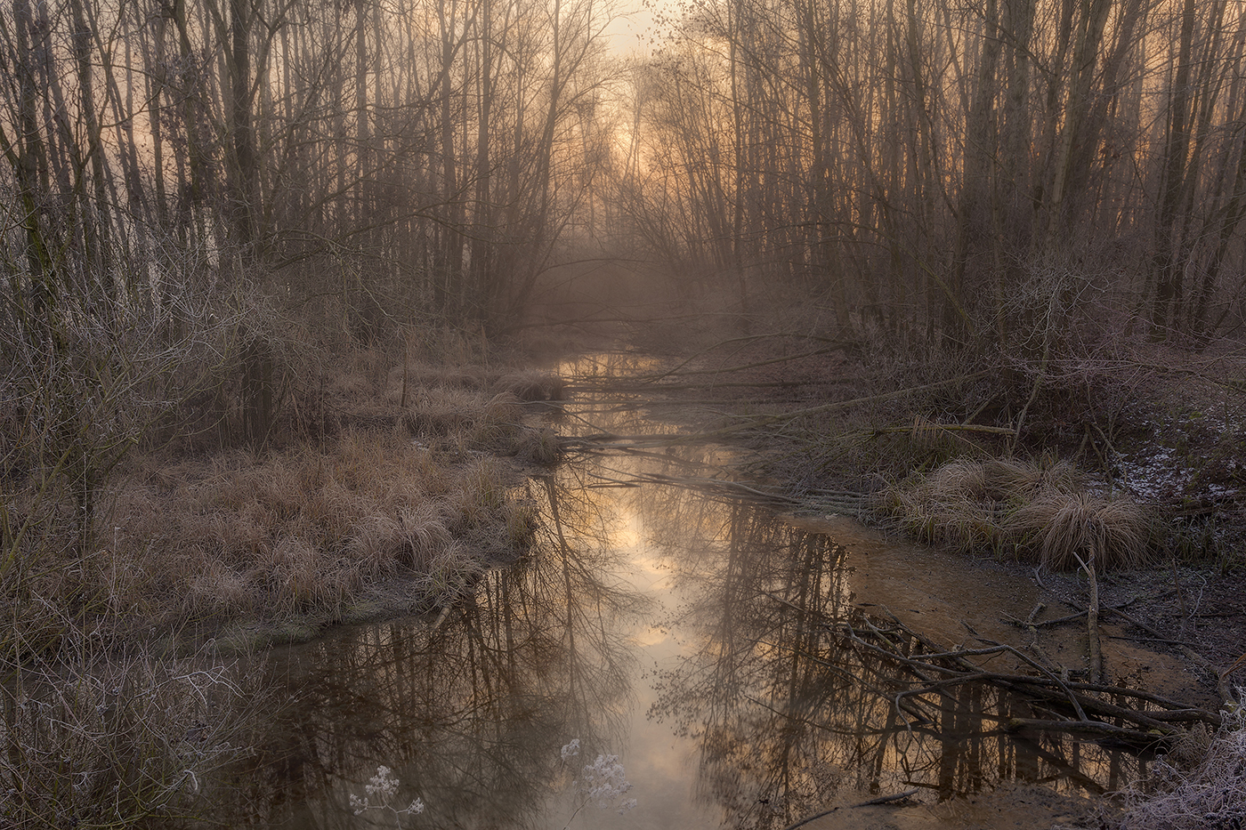 The light of the East ....