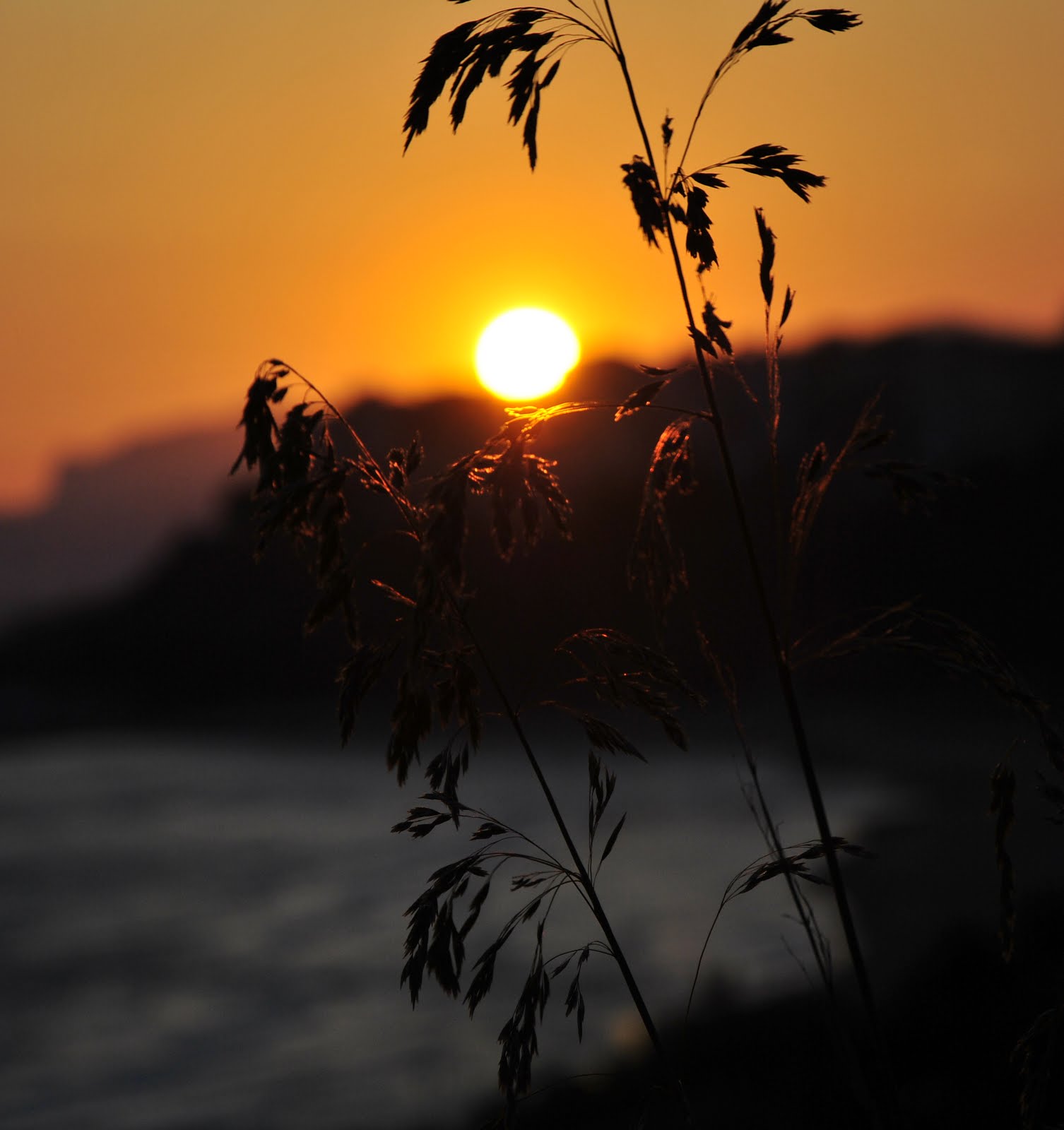 Una calda carezza...