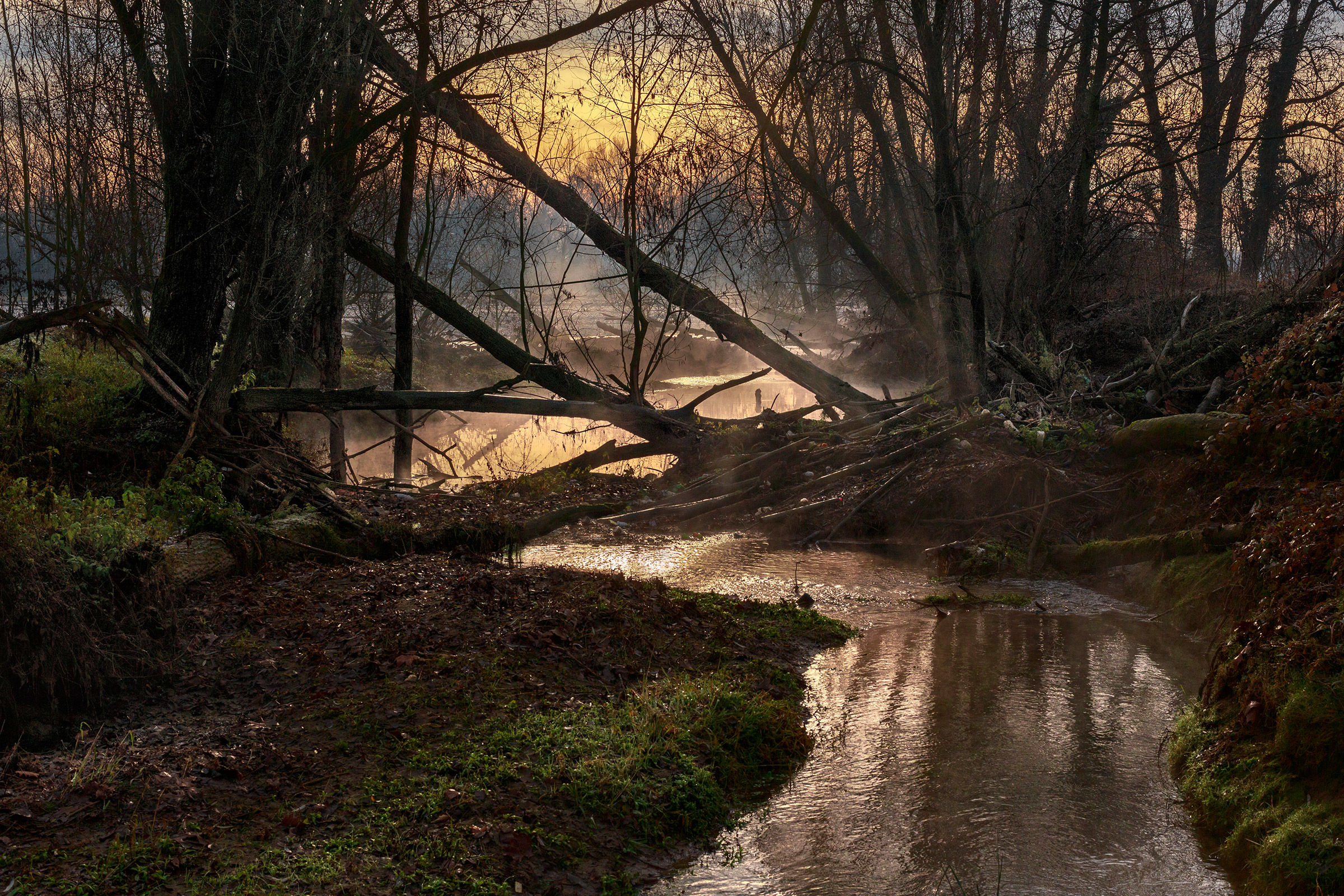 the Serious Natural Park