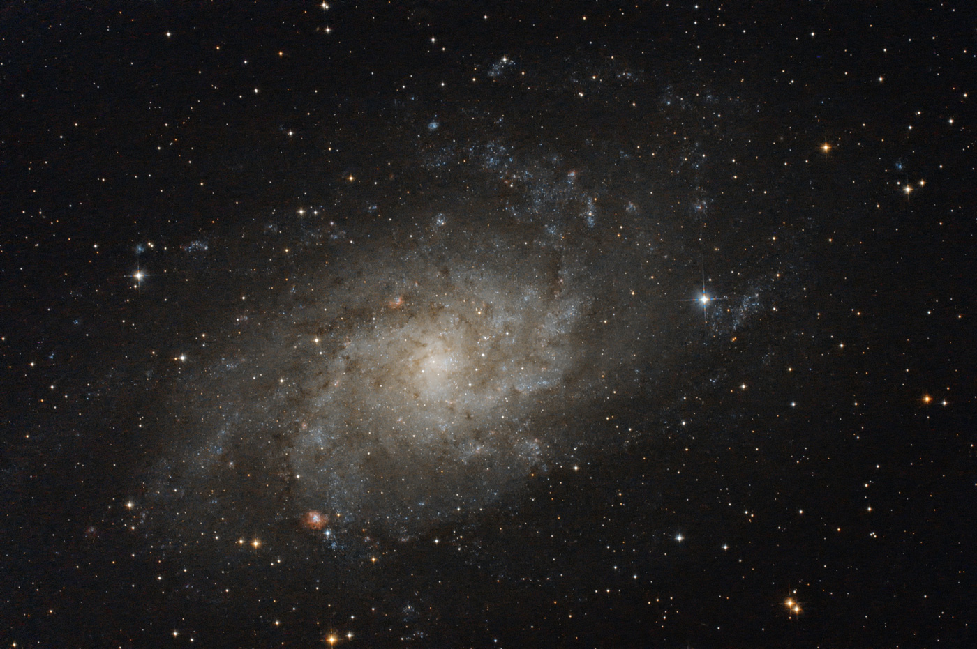 M33