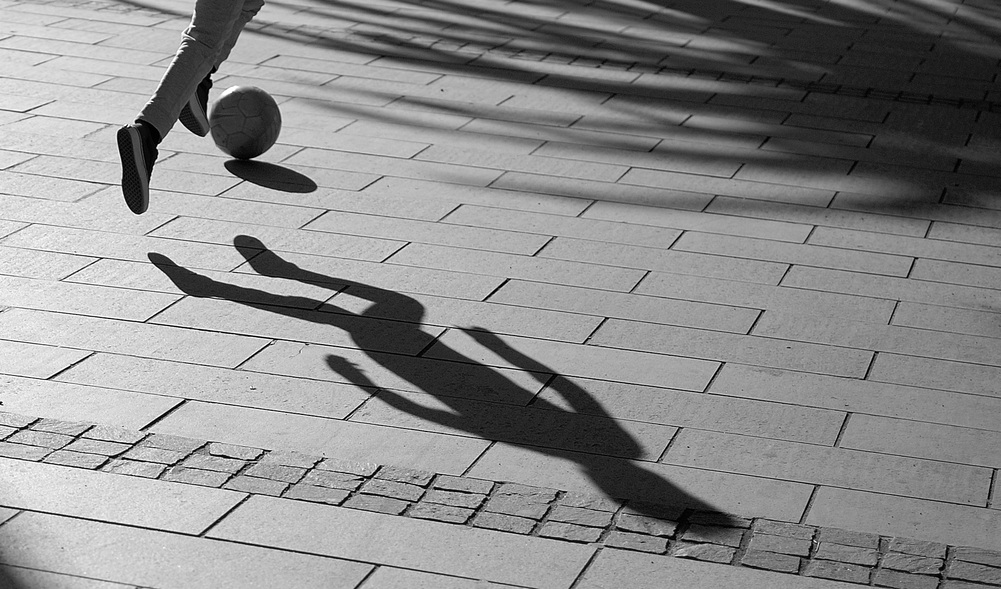 inseguo ciò che mi sfugge