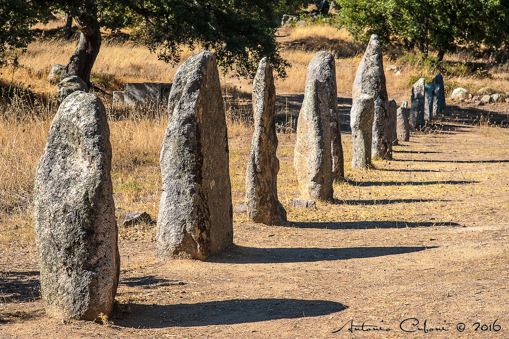I Menhir di "Biru e Concas", Sorgono (nu).