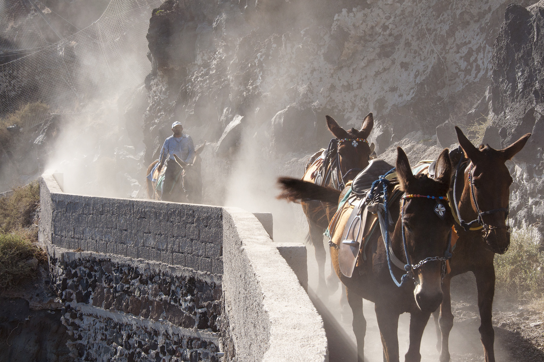 la discesa degli asini