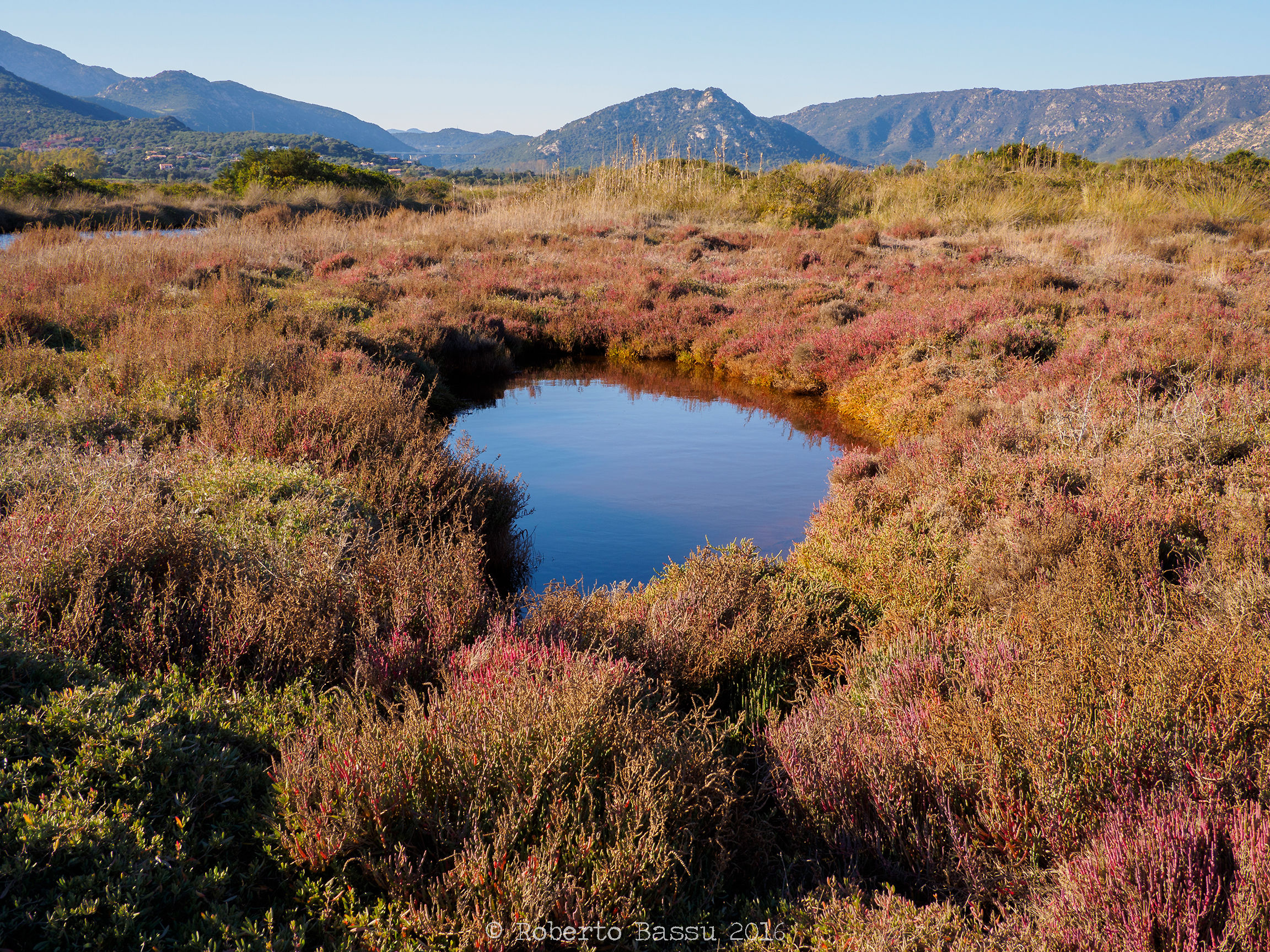 Opere d'arte naturali