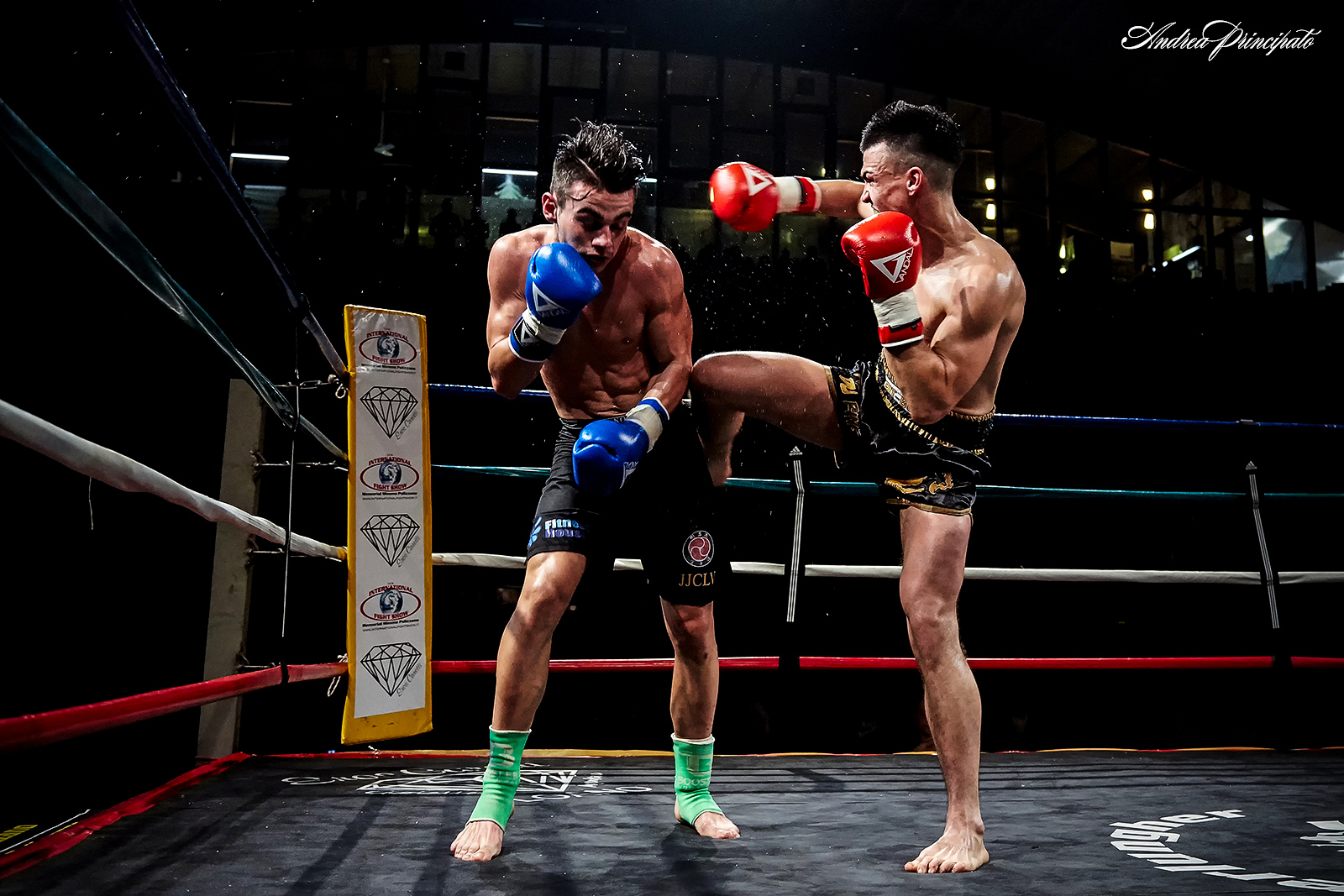 International Fight Show 2016 Loano