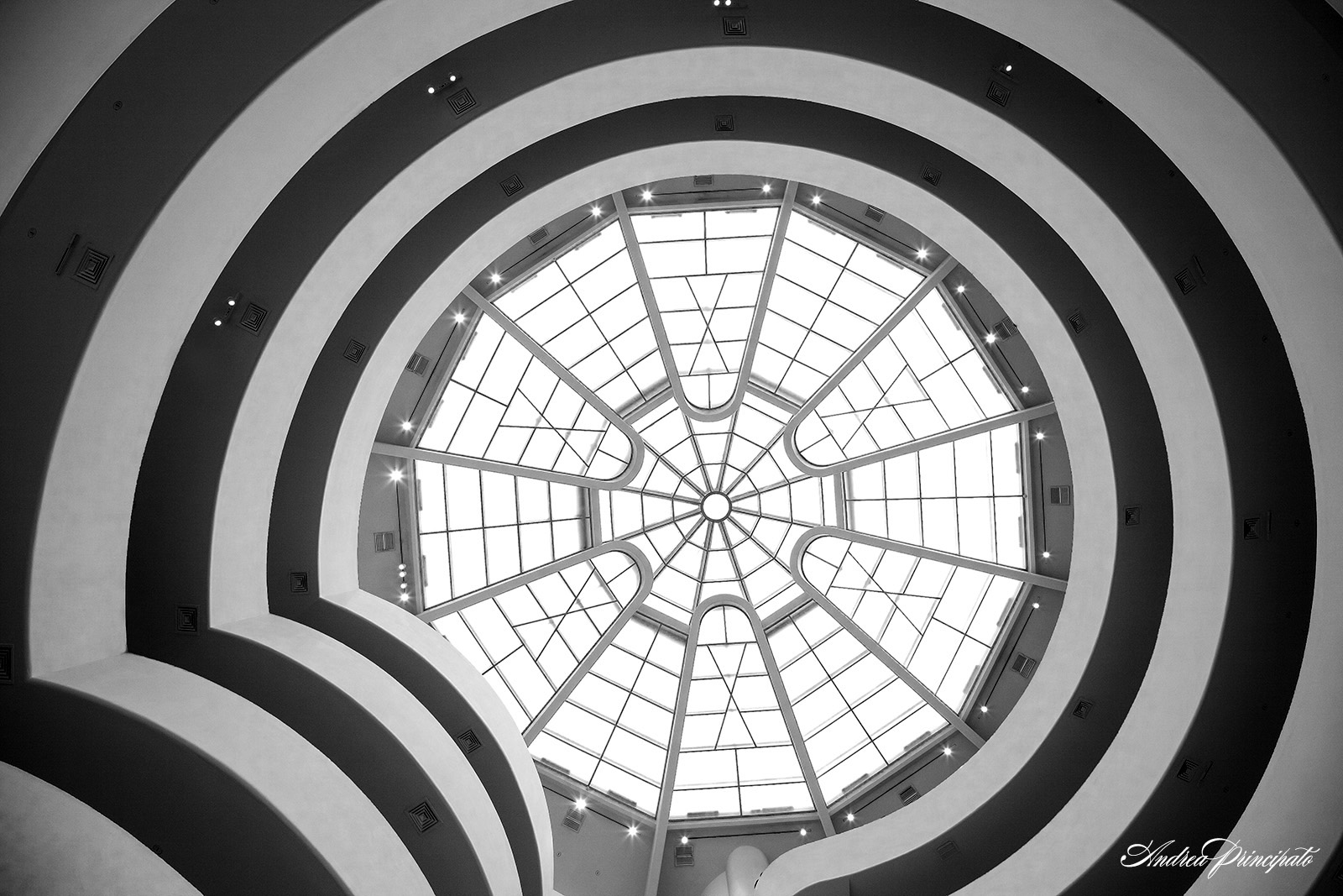 Guggenheim Museum