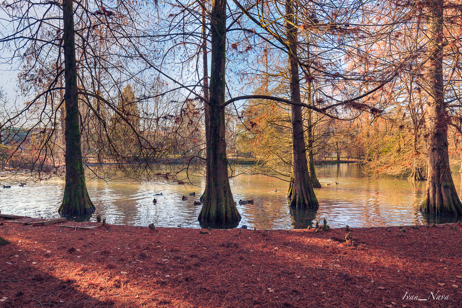 Tranquillità al quadrato