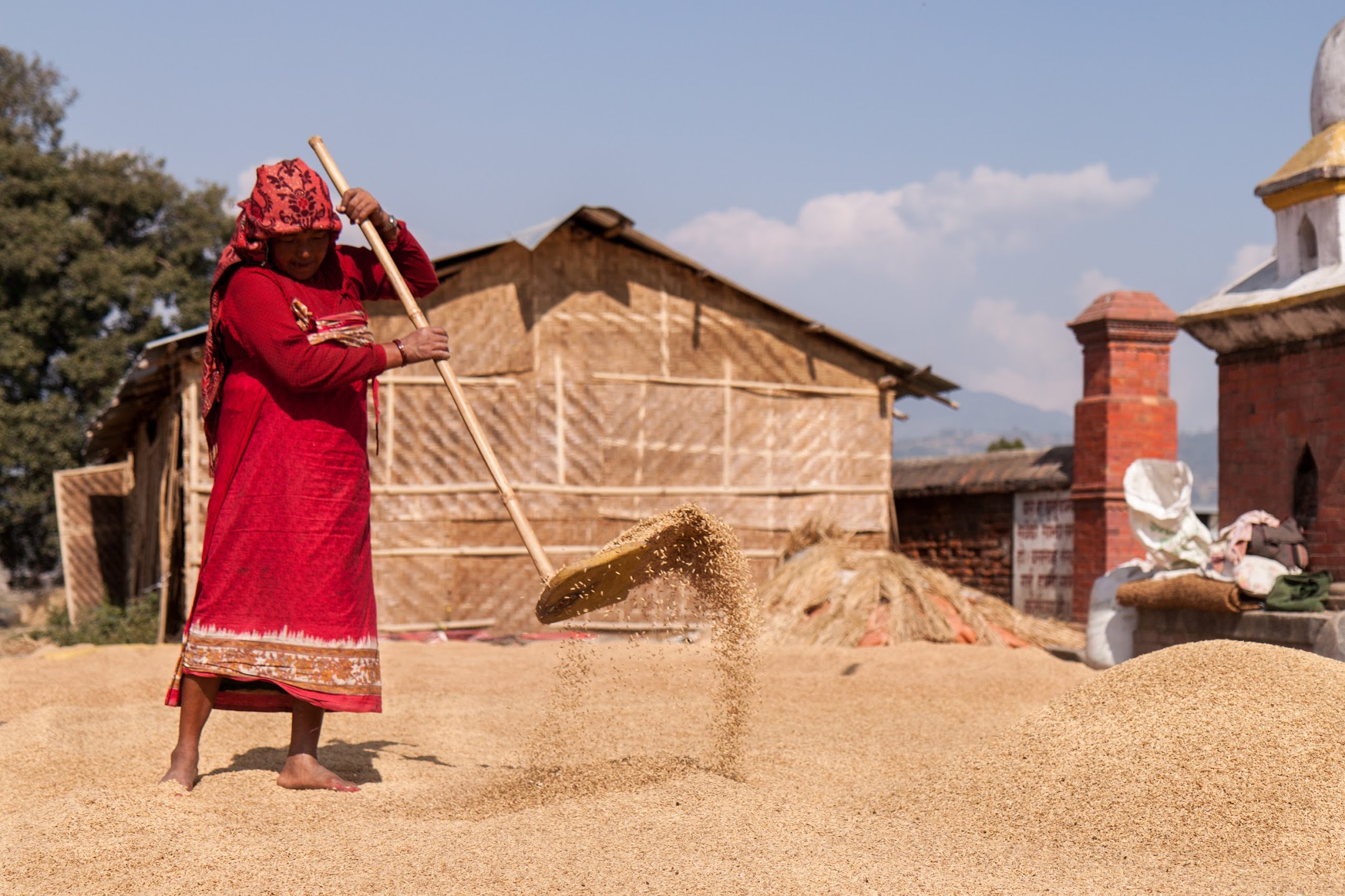 Preparazione del riso a Kirtipur