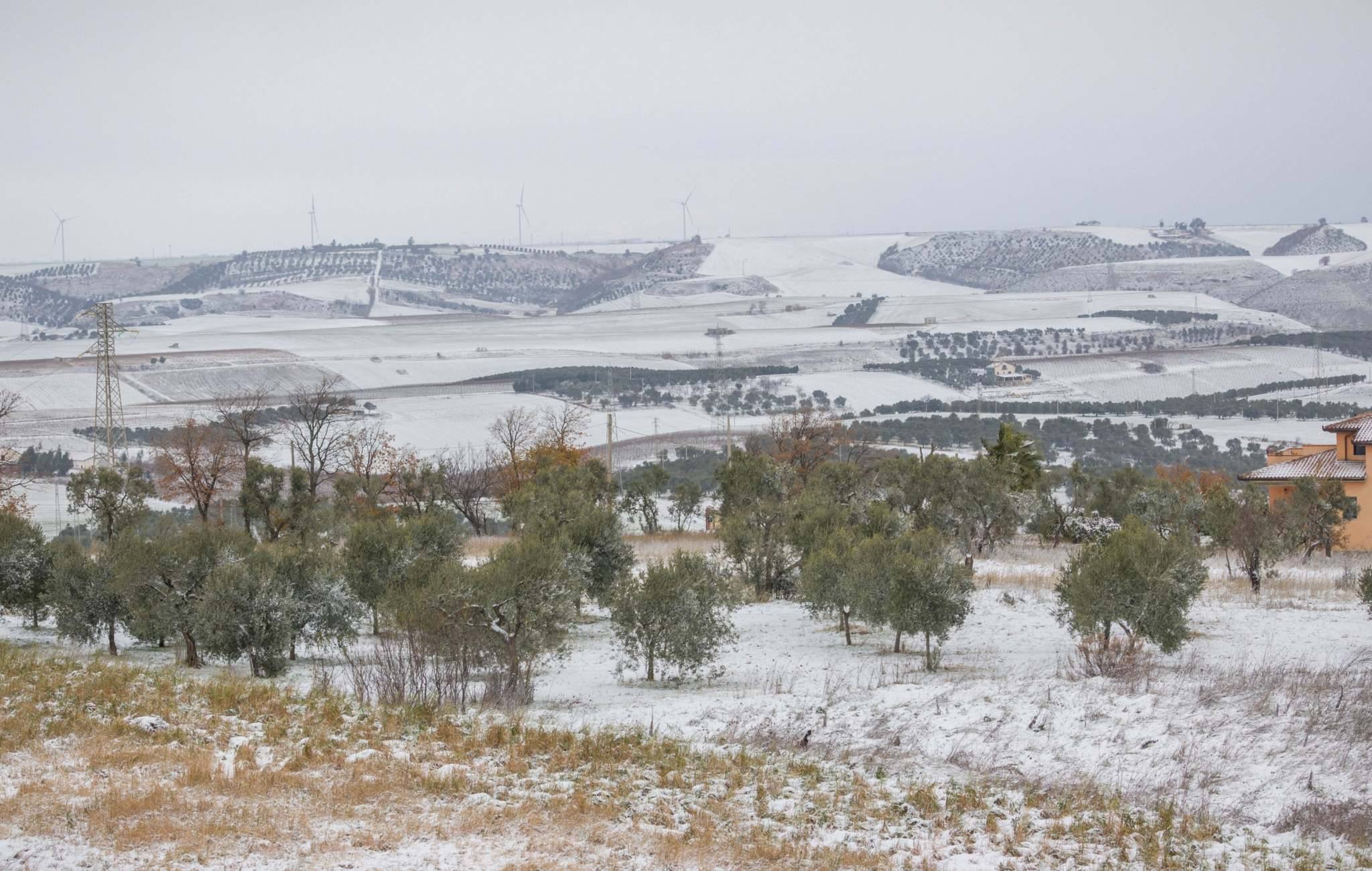 Panorama from my house