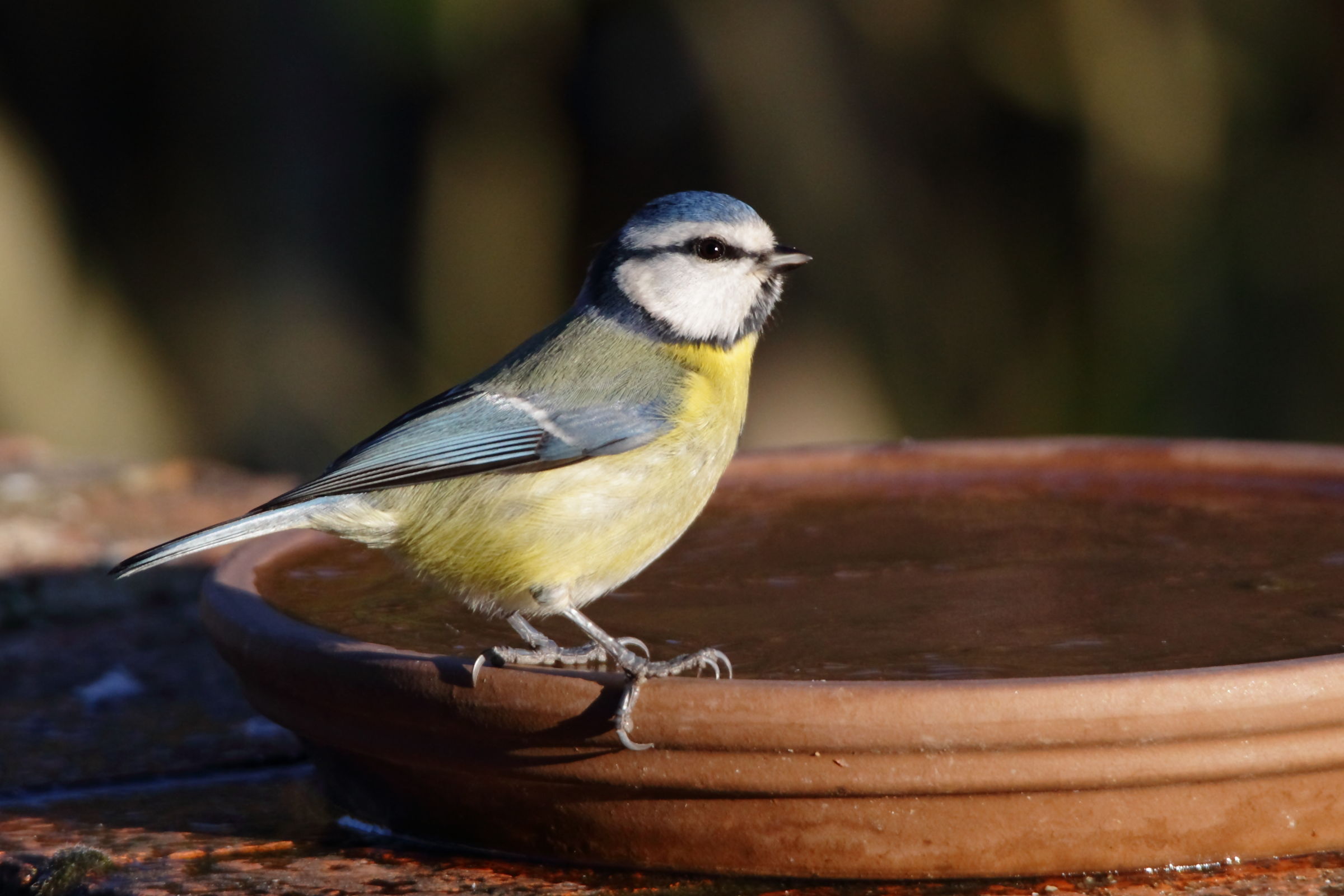 Oh ... and 'ice cold !!!