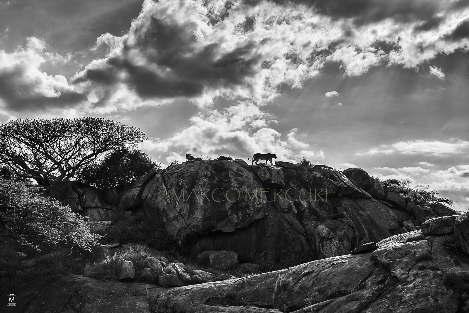 Passeggiata sulle rocce.