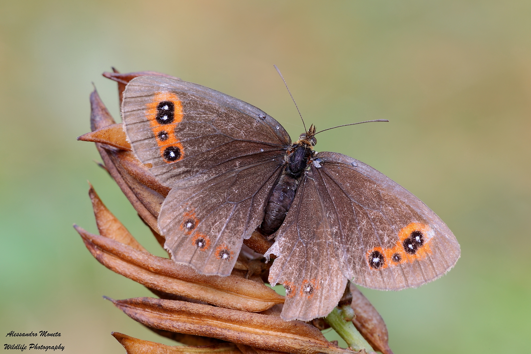 Prepararsi al decollo