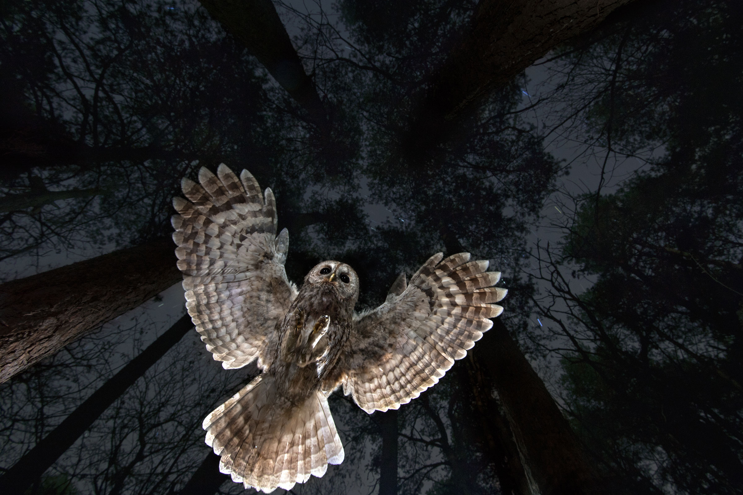 a different point of view