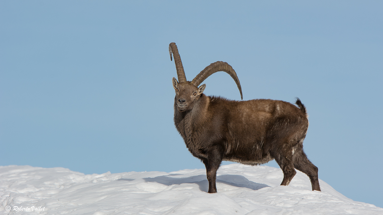 quattro passi nel Parco