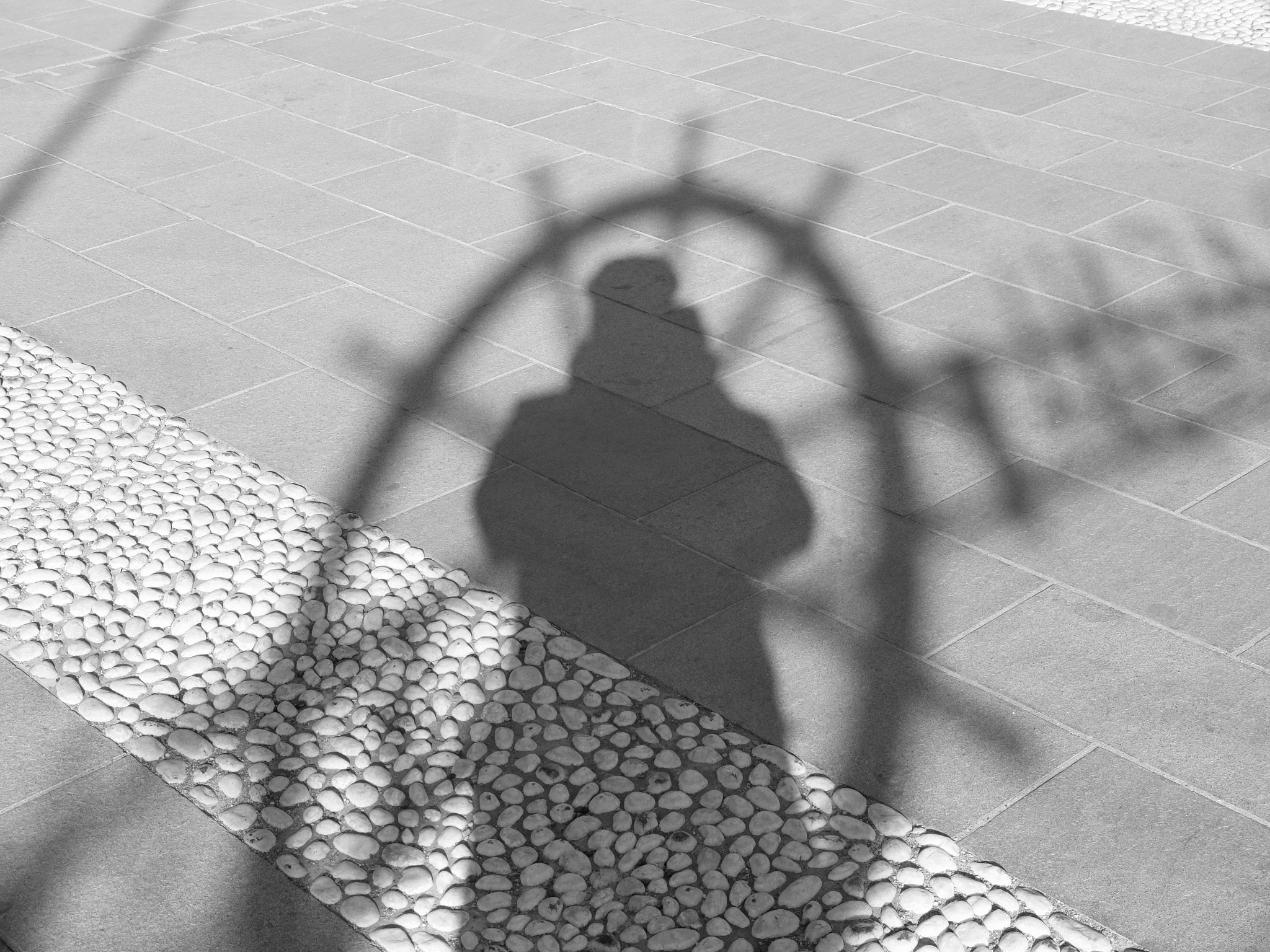 All'ombra del timone