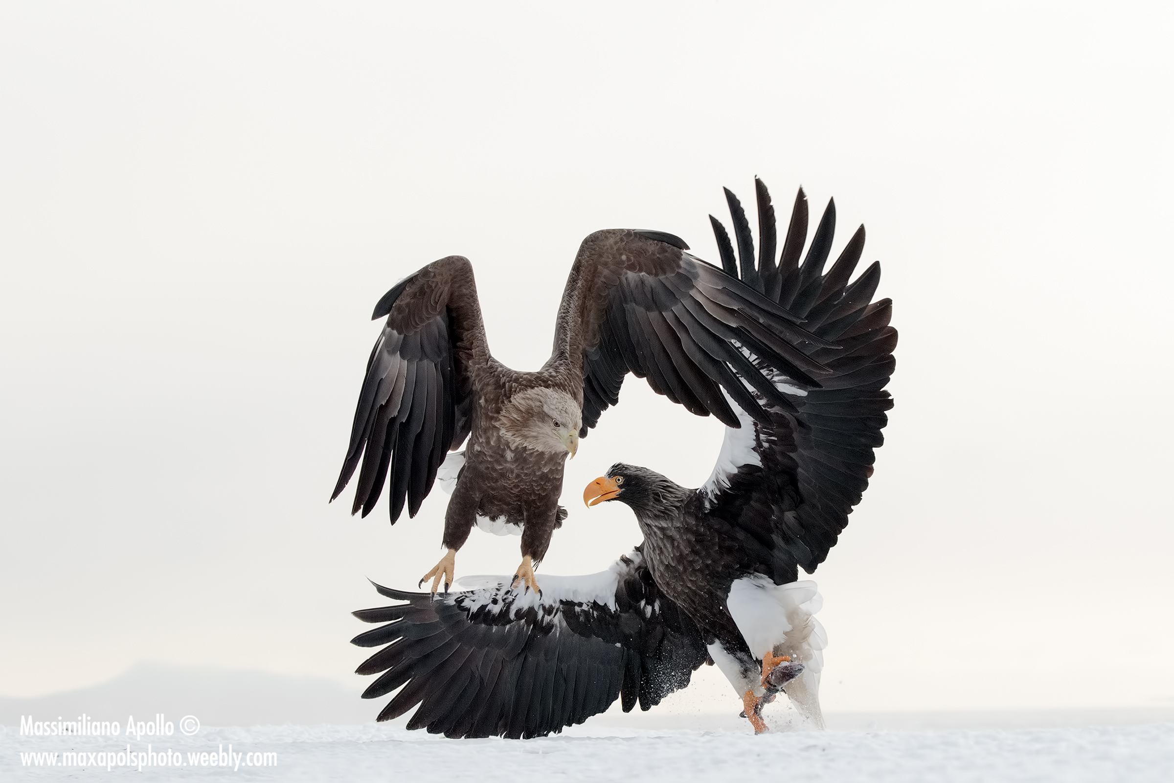 force against agility ...