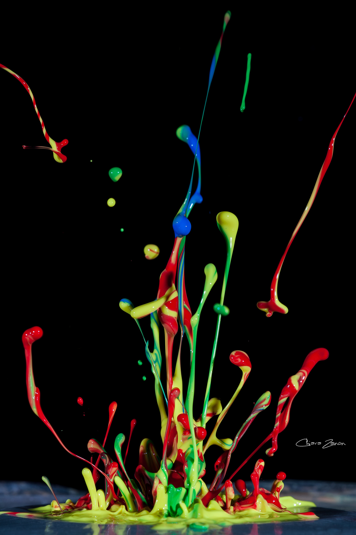 we photographed the music